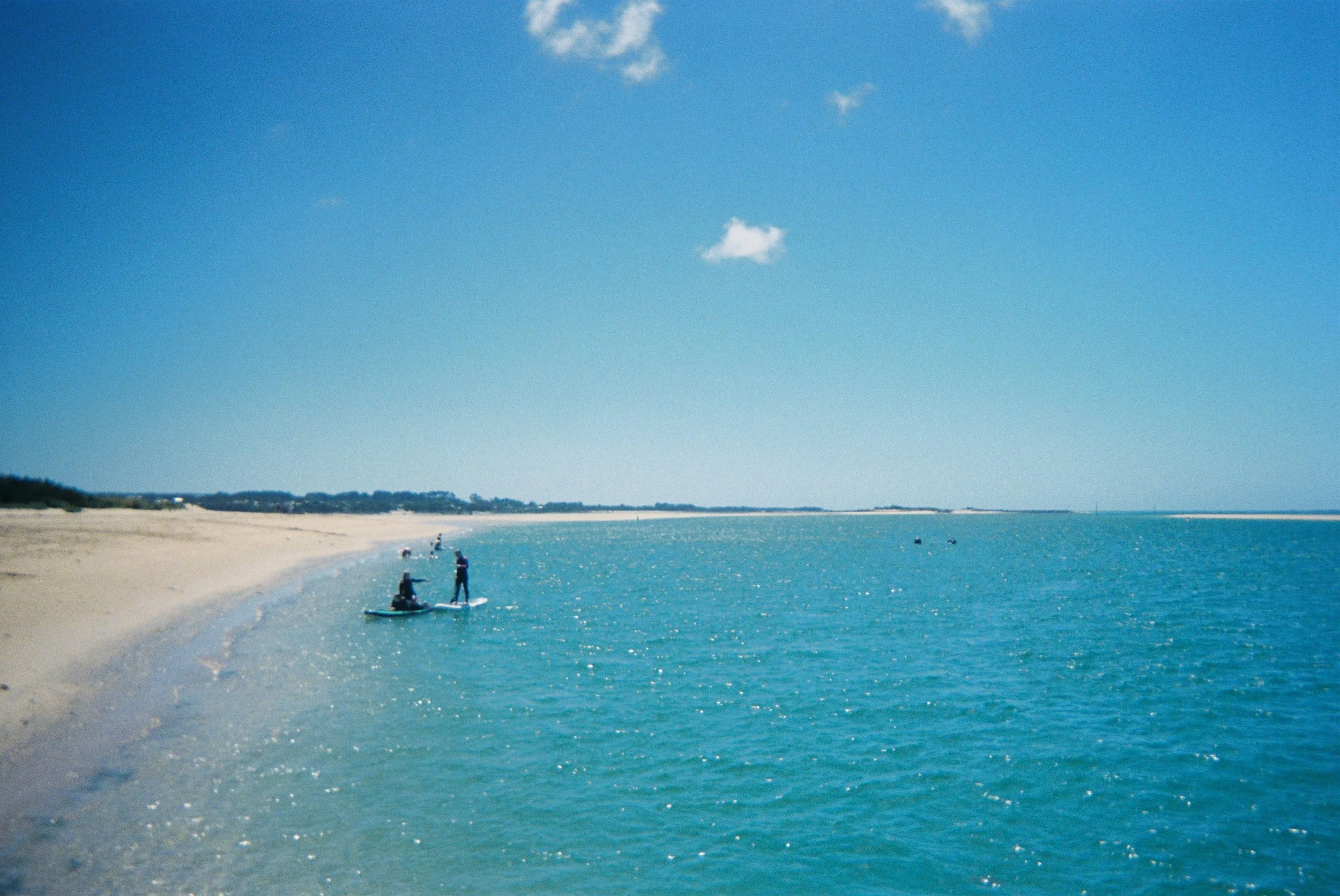 IMG_1782.JPG