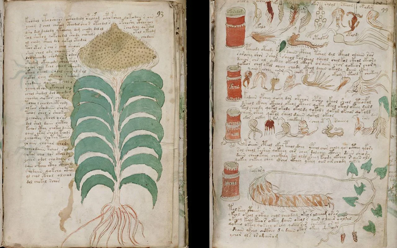 John’s Files 06: The Voynich Manuscript