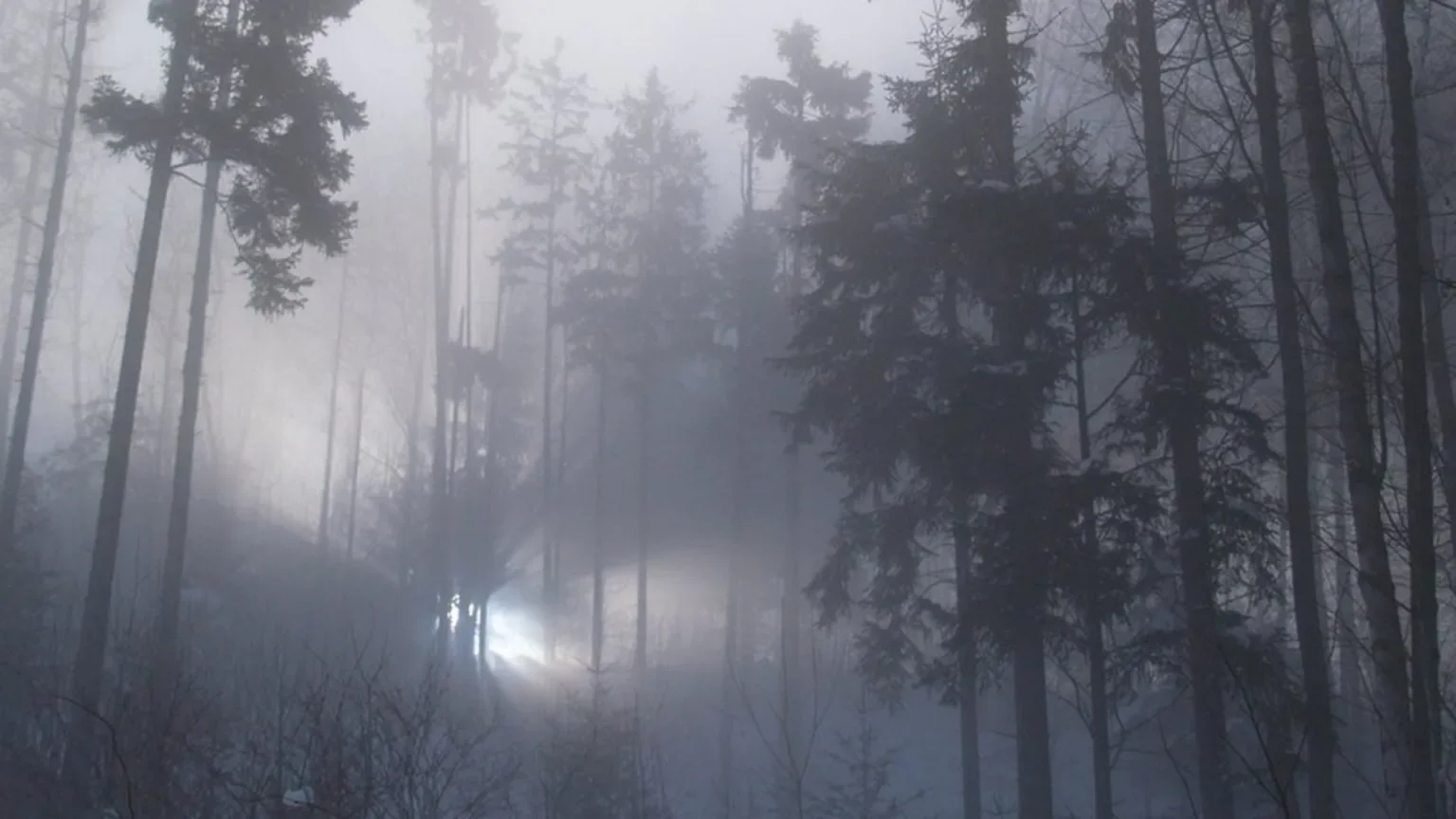 John’s Files 08: Rendlesham Forest