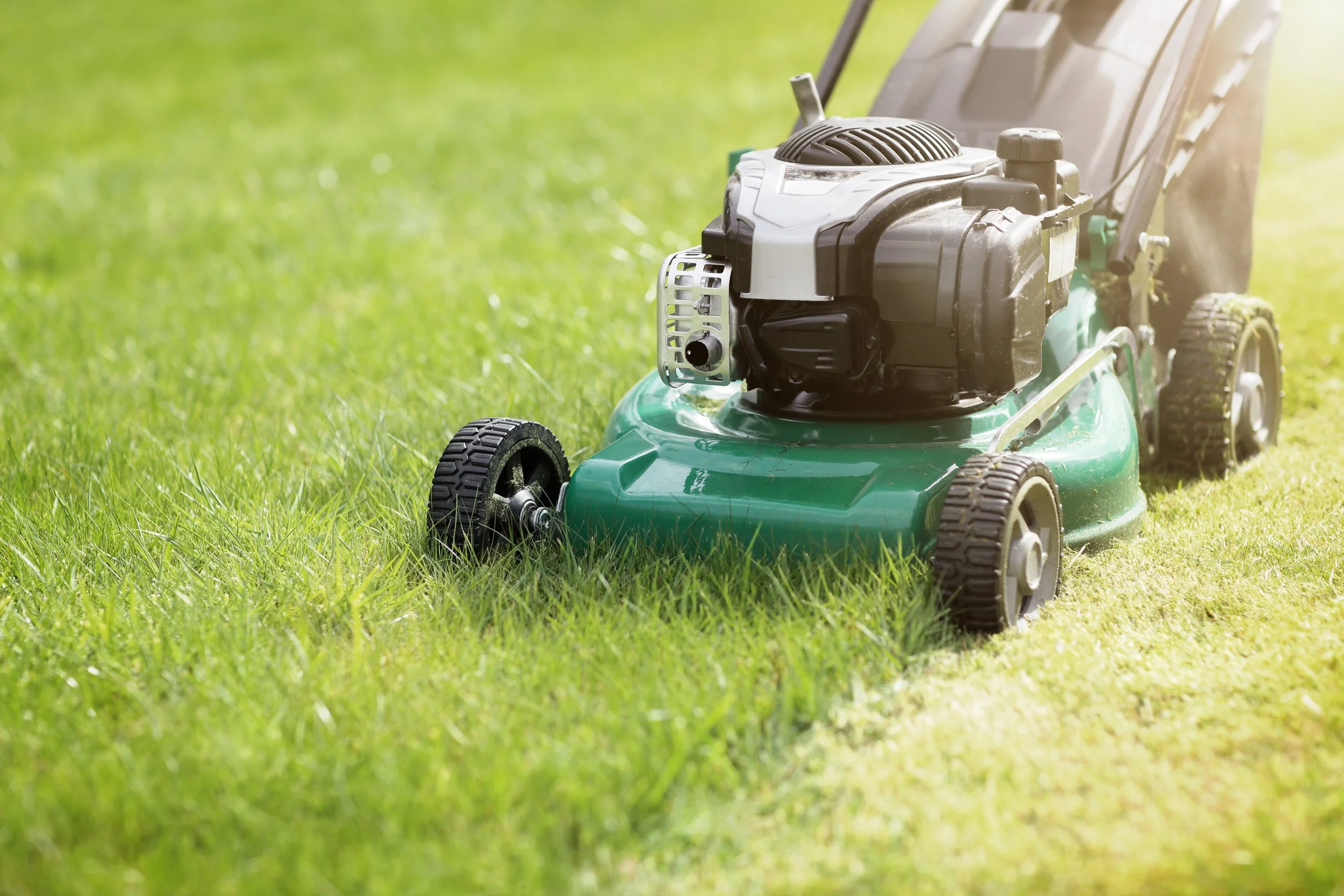 Green lawnmower cutting grass on a lawn in sunlight.