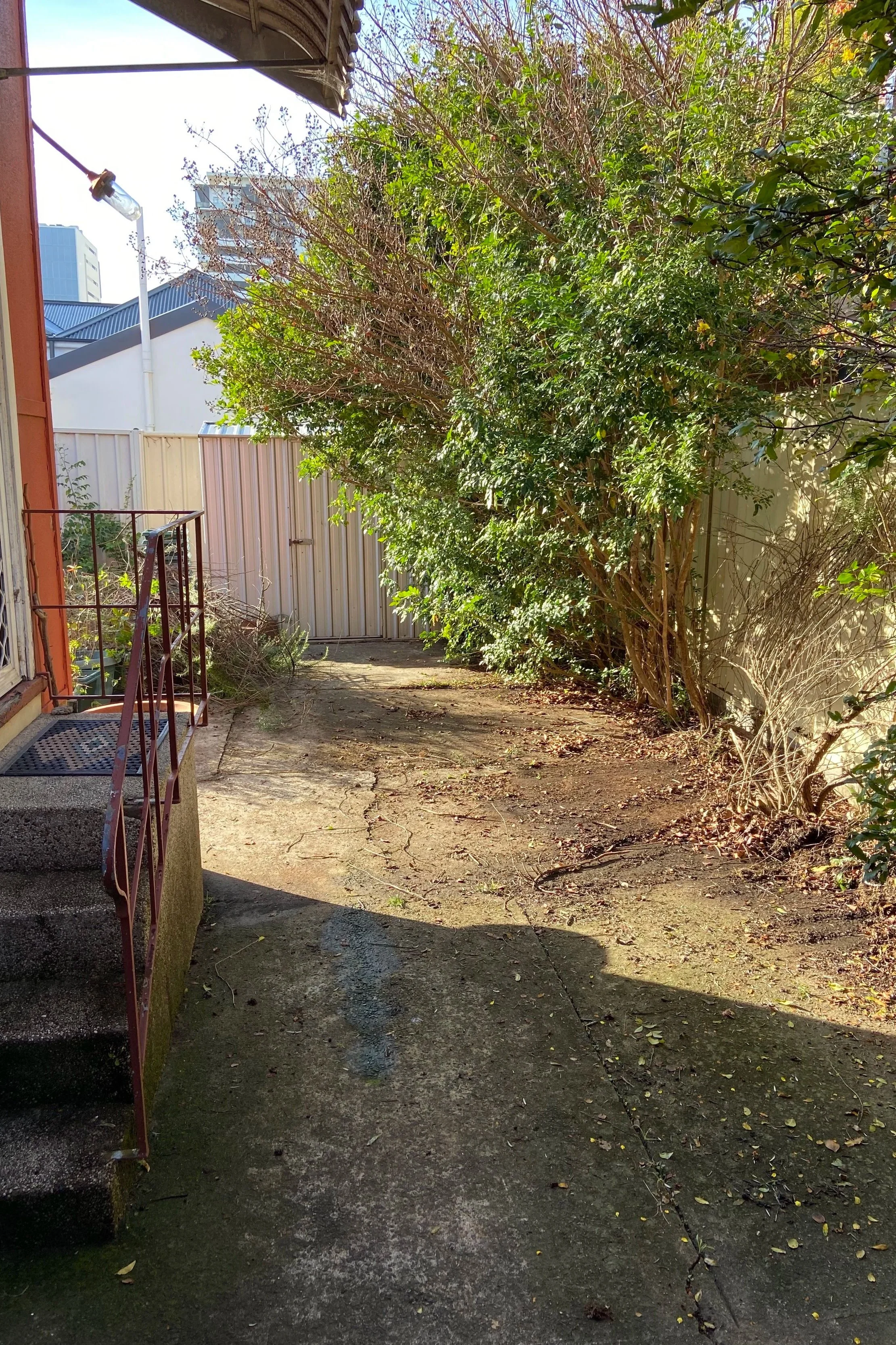 Before garden organisation and clean