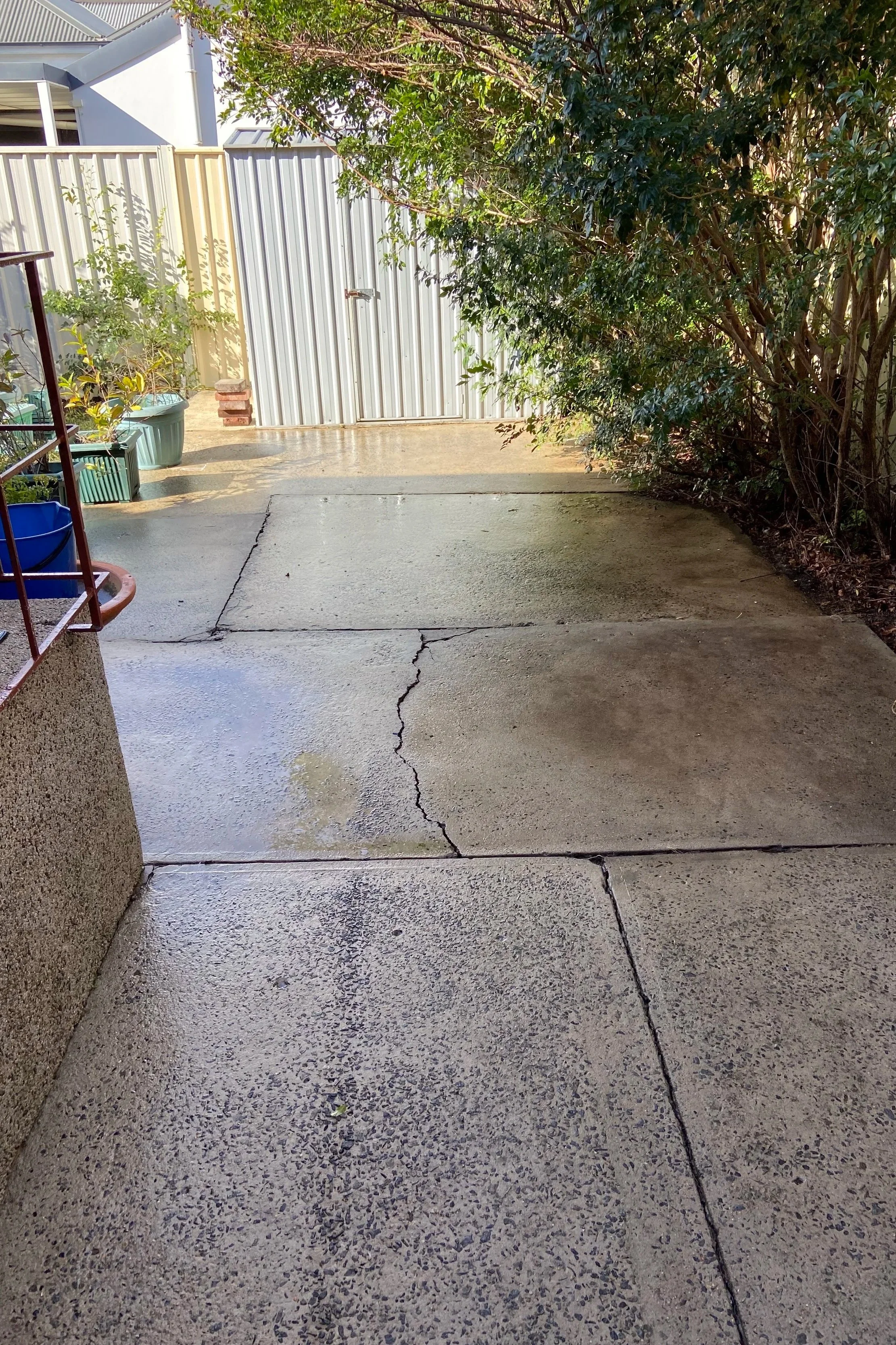 After garden organisation and clean