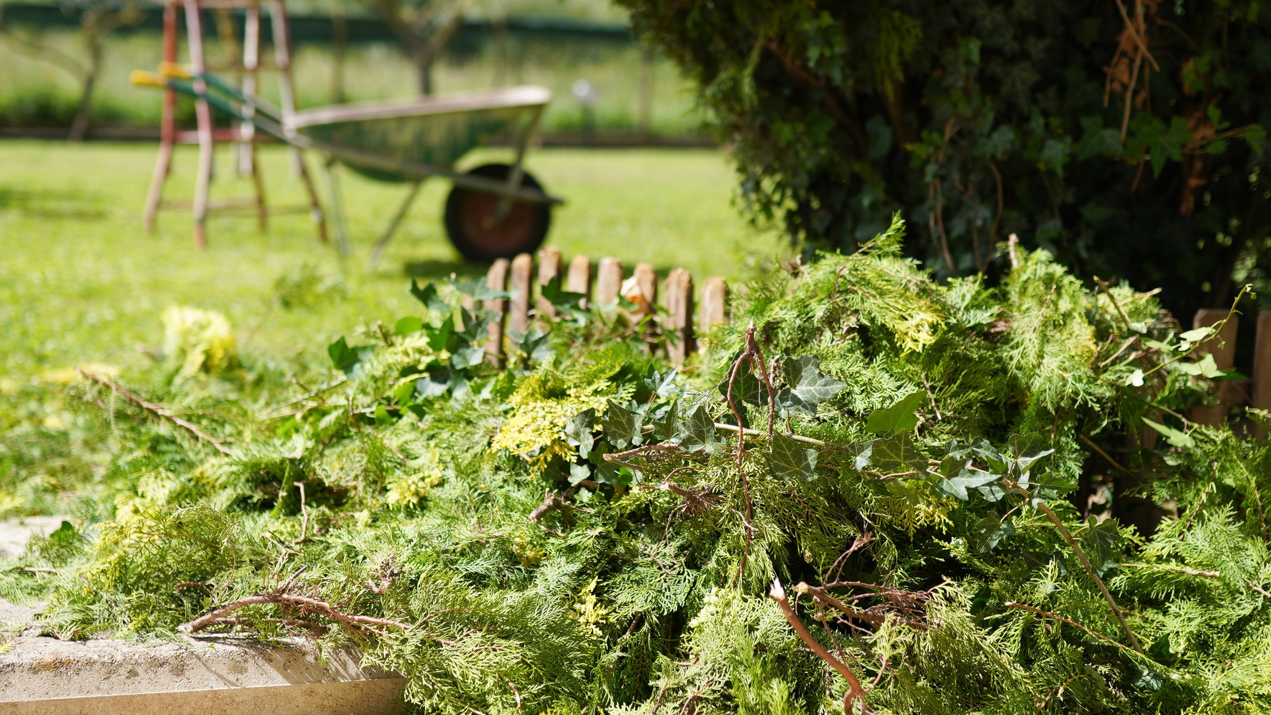 A pile of freshly cut green branches lying on a surface in a garden, with gardening tools and a wheelbarrow blurred in the background.