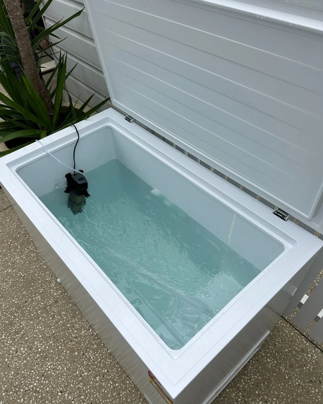 An open white chest freezer filled with water, with a small black submersible pump inside, outdoors next to a plant and a wooden fence.