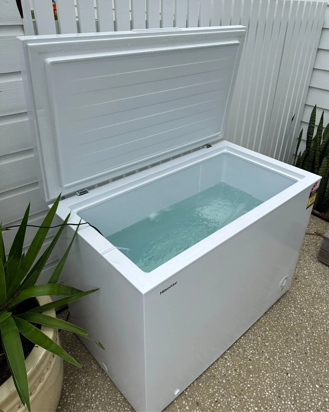 A white outdoor chest freezer filled with water, with the lid open, situated next to a plant and against a white fence and house siding.
