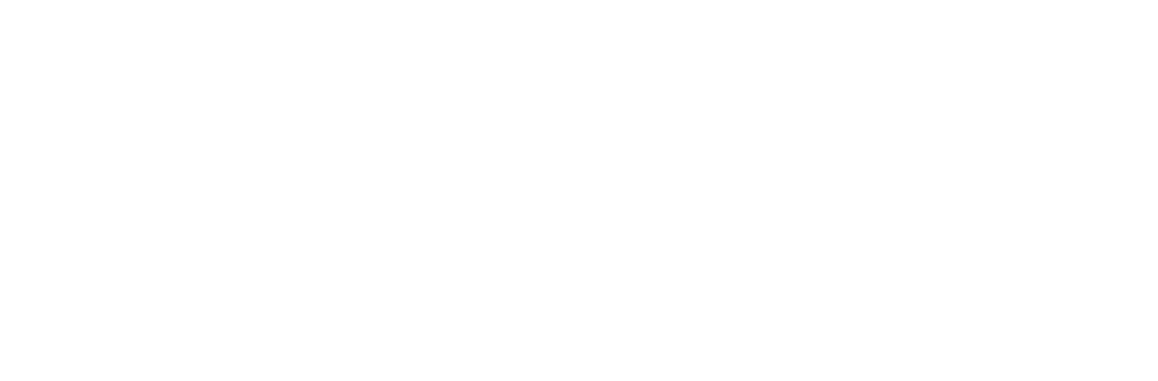 Halcyon Consulting