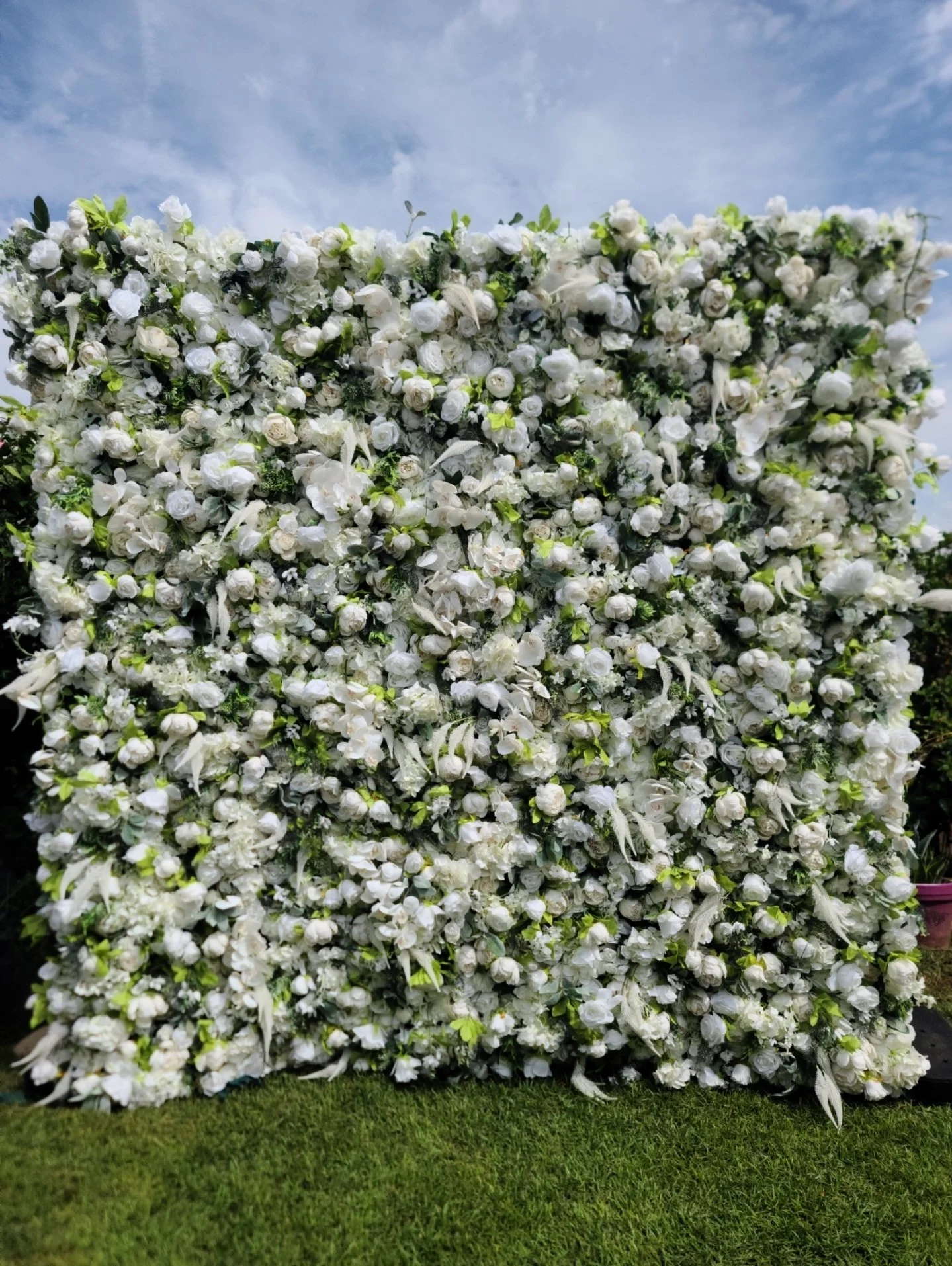 White Rose