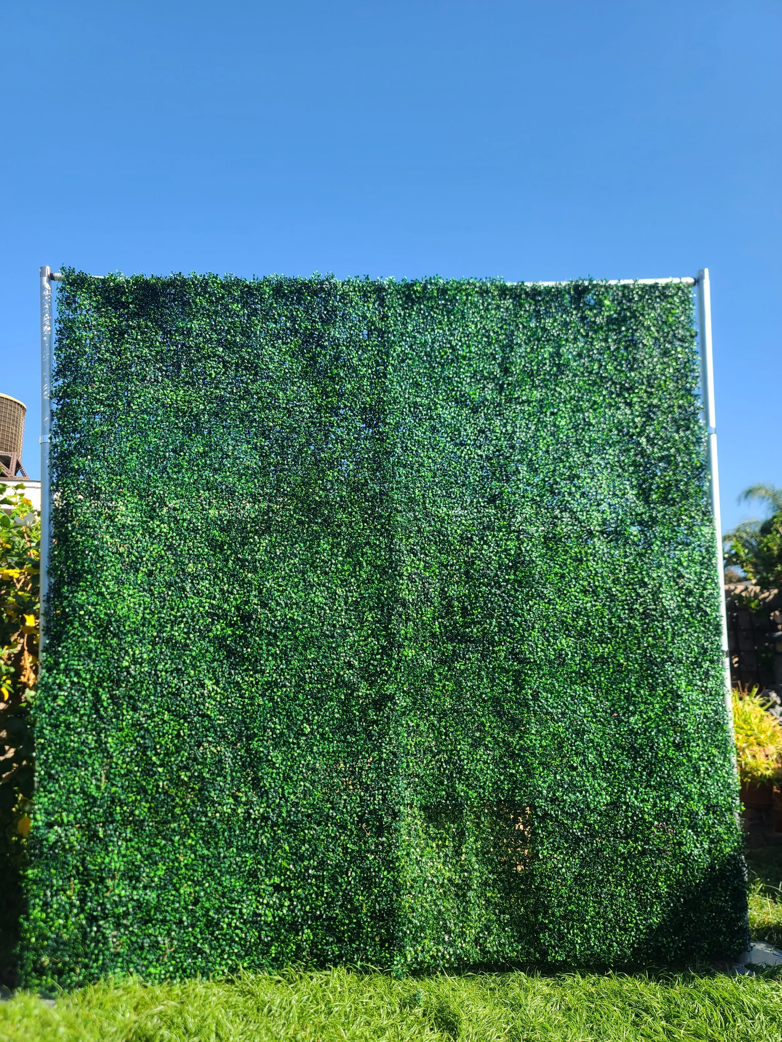 The Grass Wall
