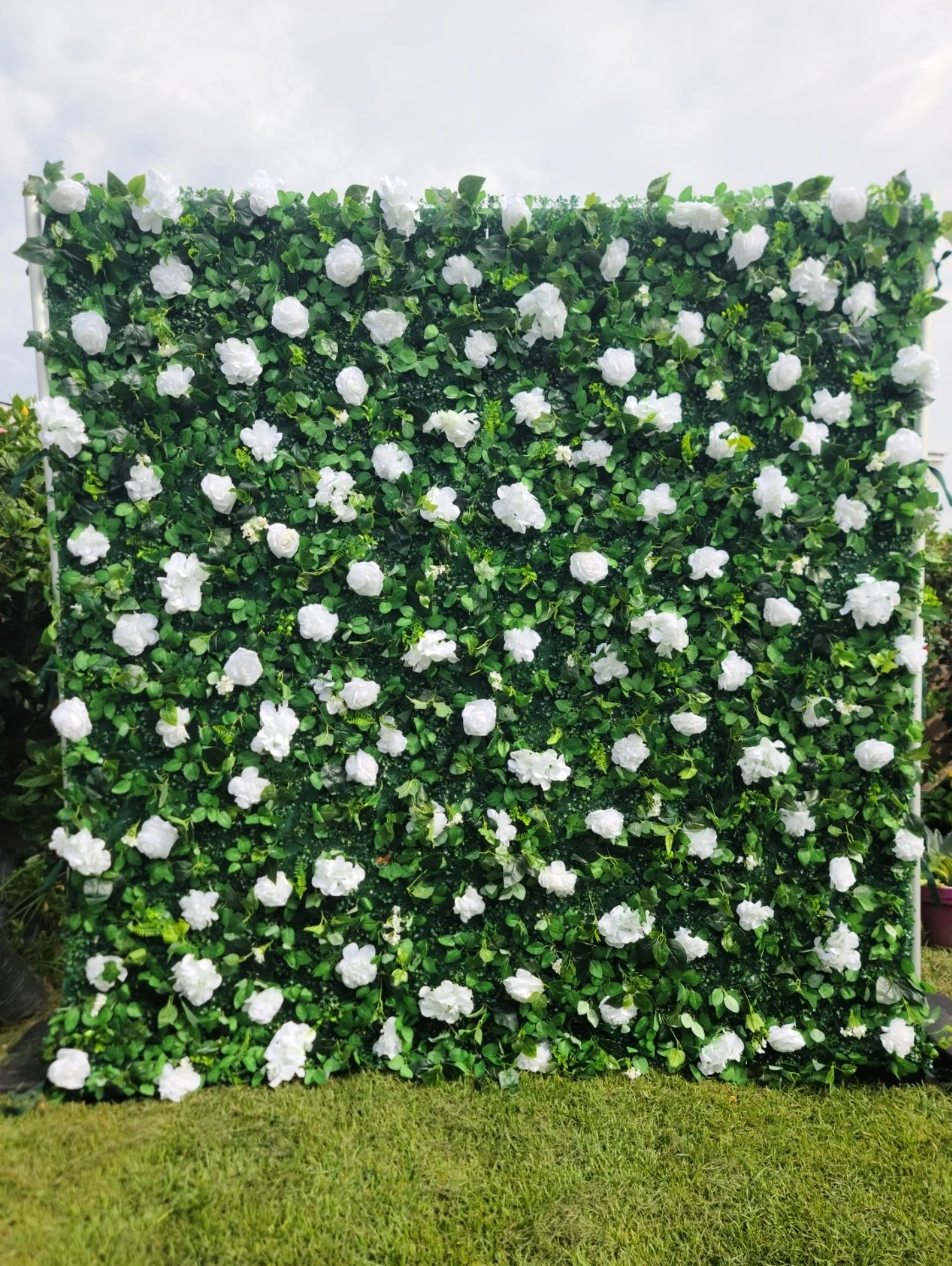 Green Hedge