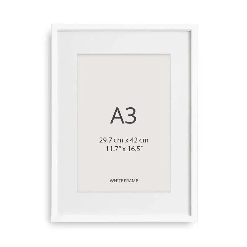 White Frame With Mat – A3 Size