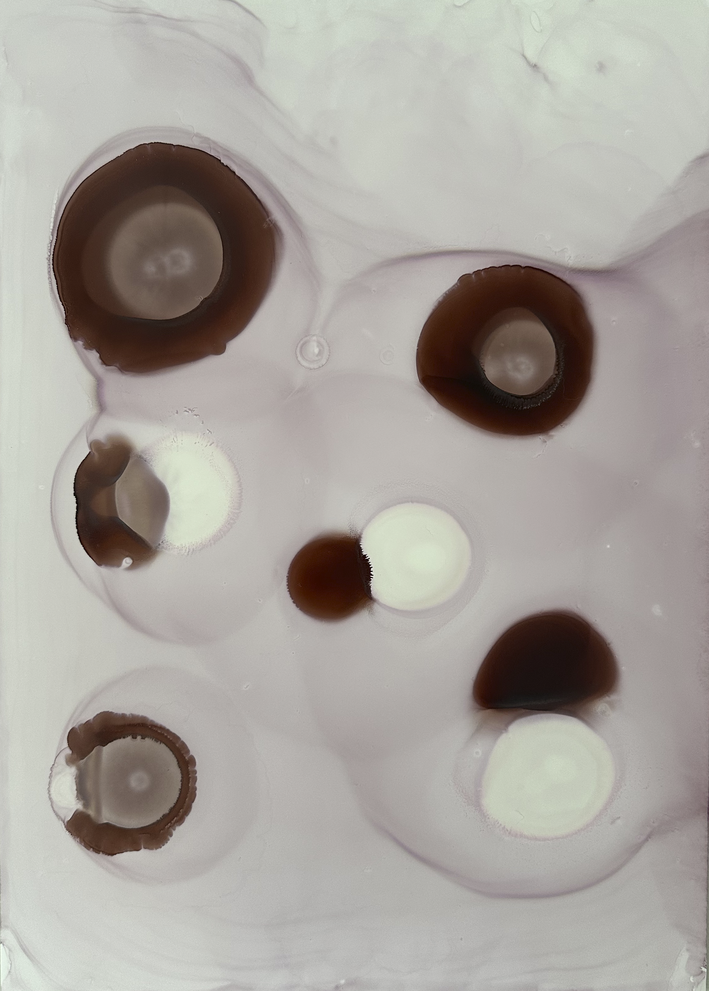 Inner Gravity on Yuppo 2.png