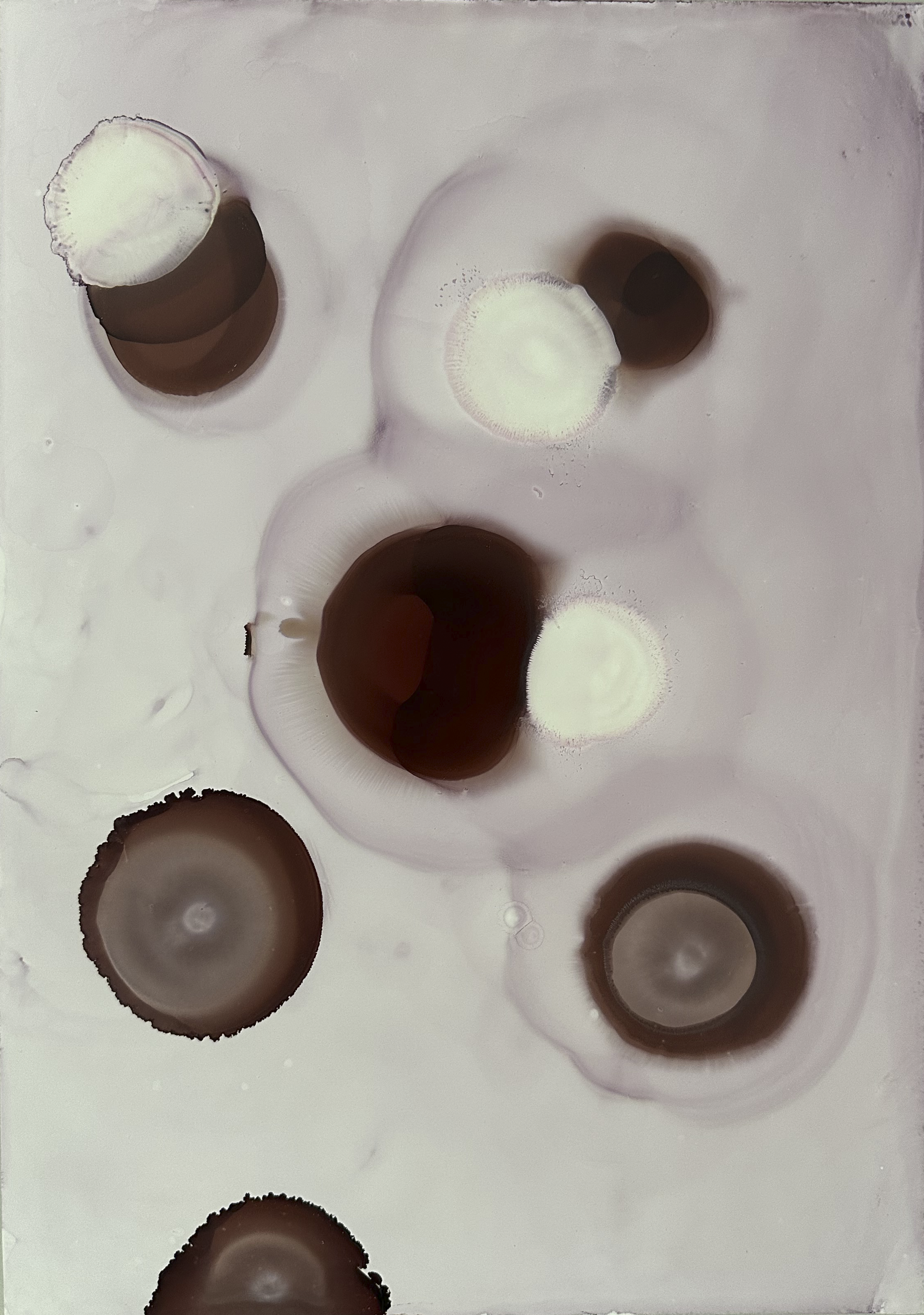 Inner Gravity on Yuppo1.png