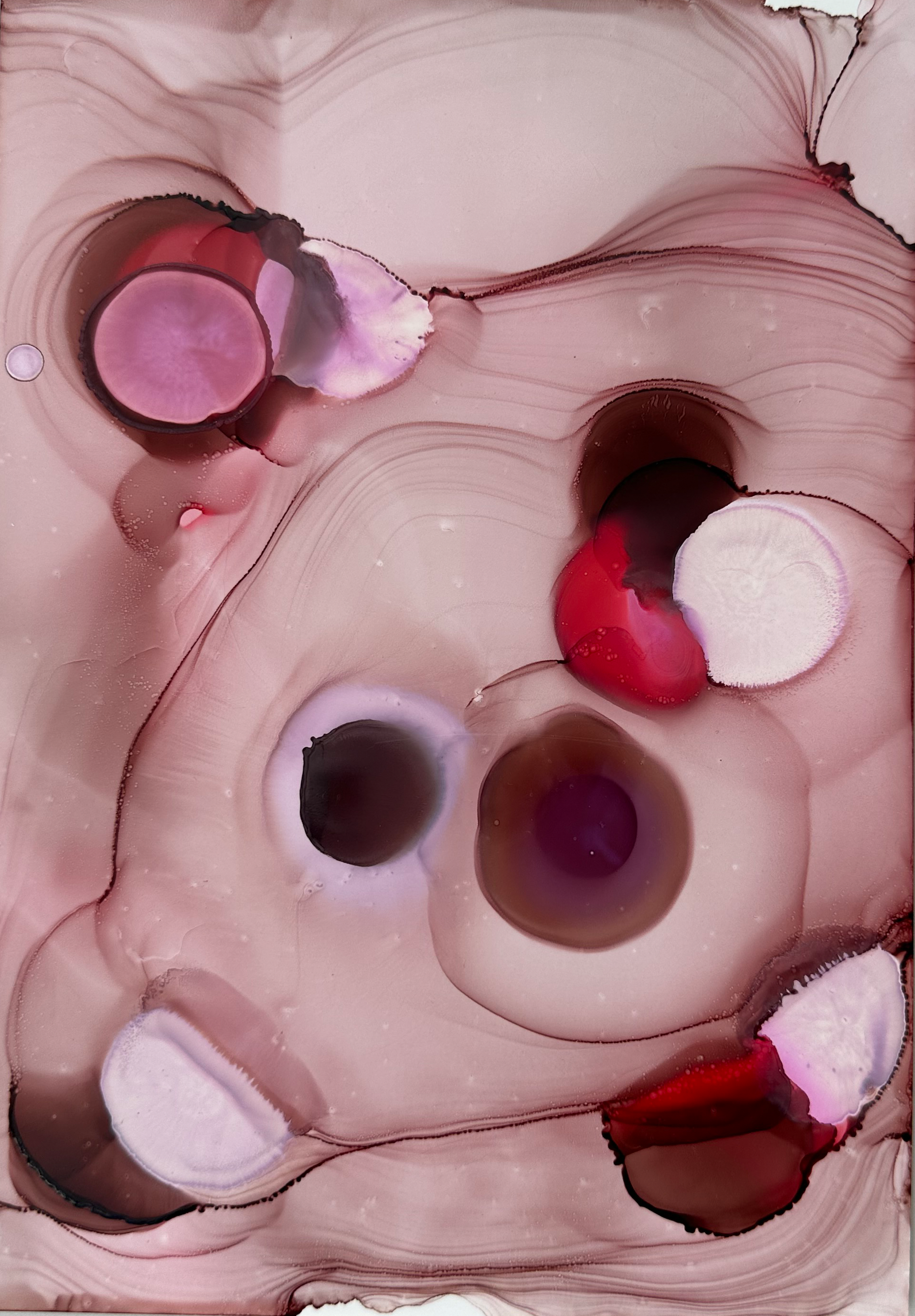 Soft Tension1.png