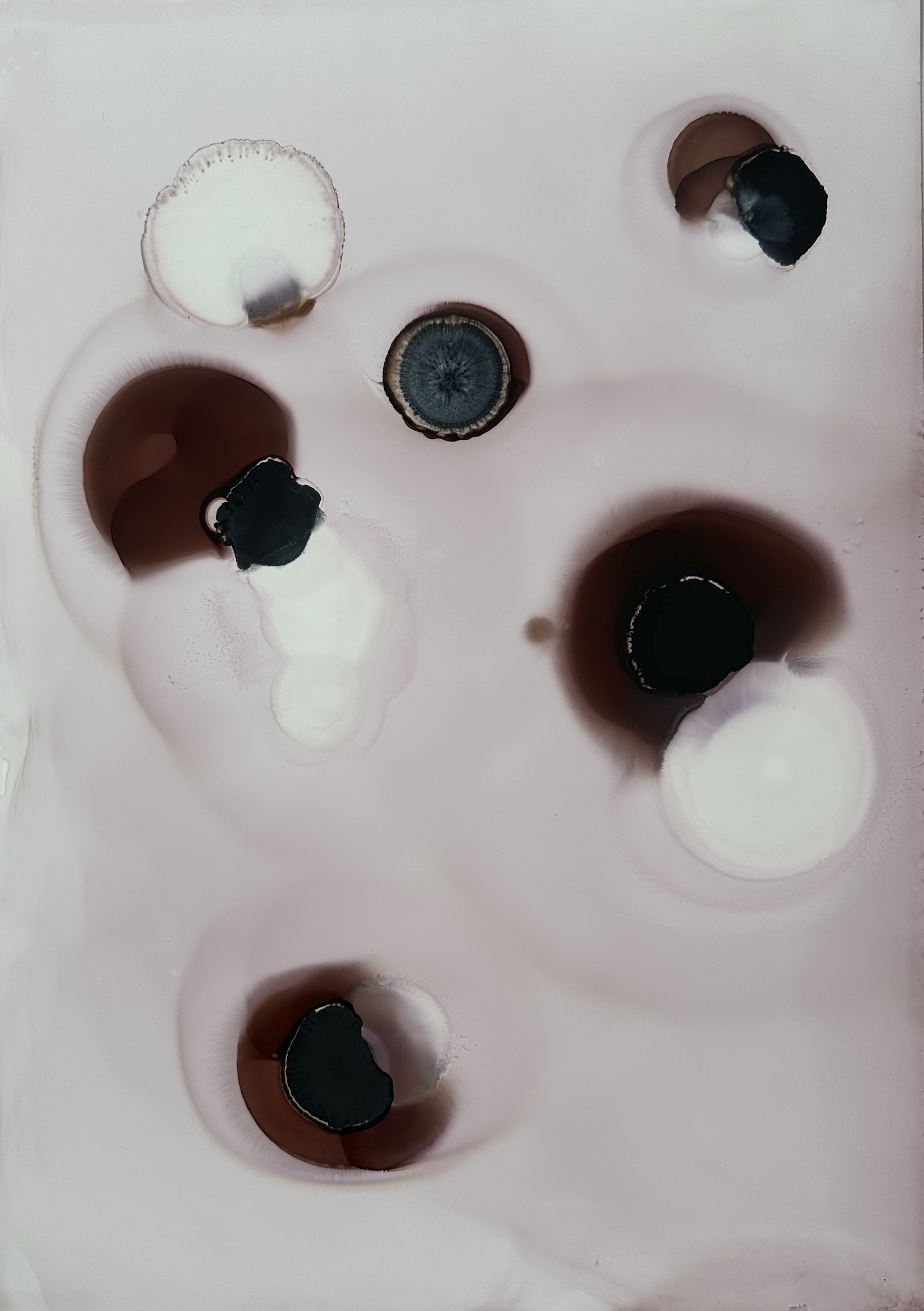 Silent orbits Yupo paper1.png