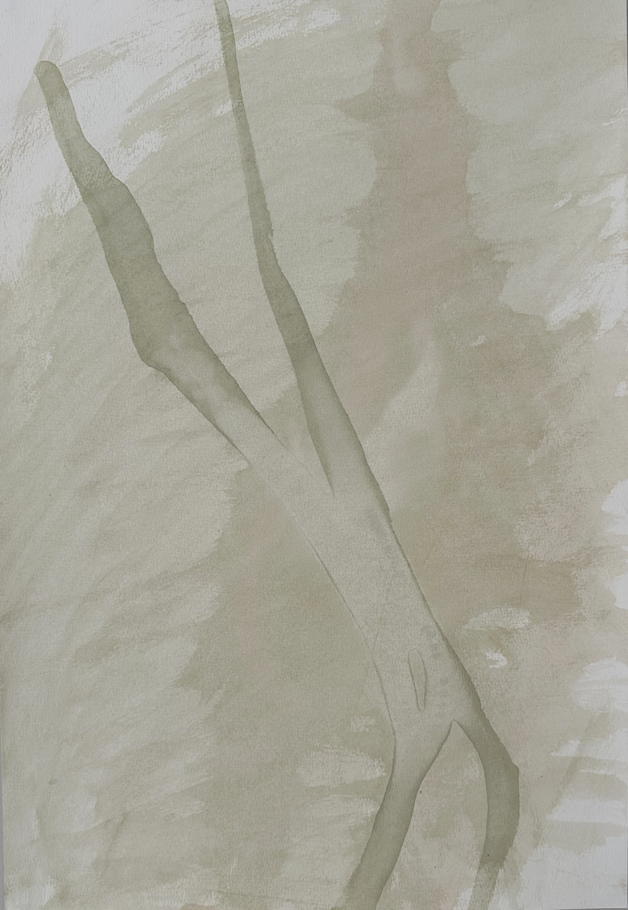 branches of memory acrylic4.png