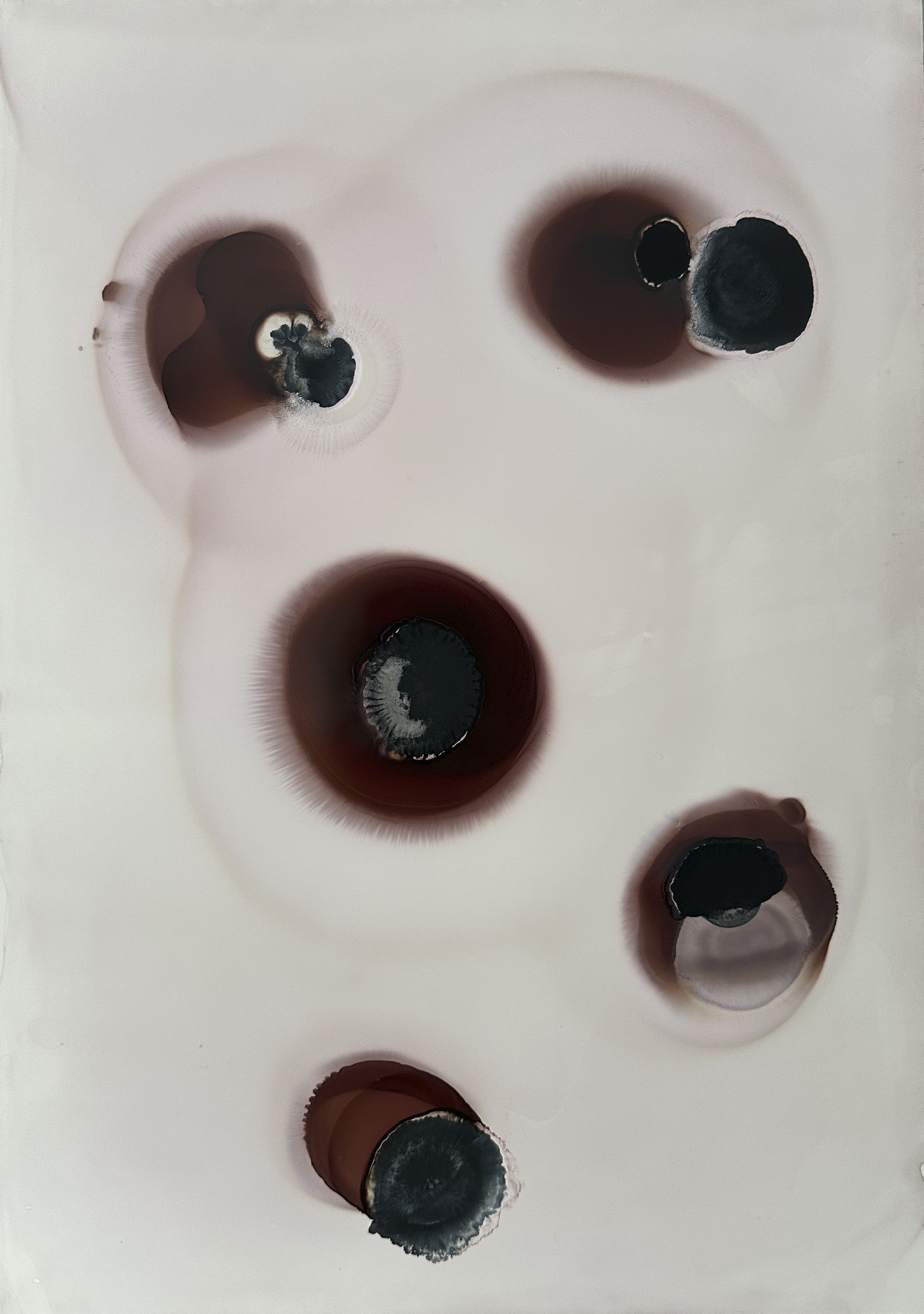 Silent orbits Yupo paper7.png