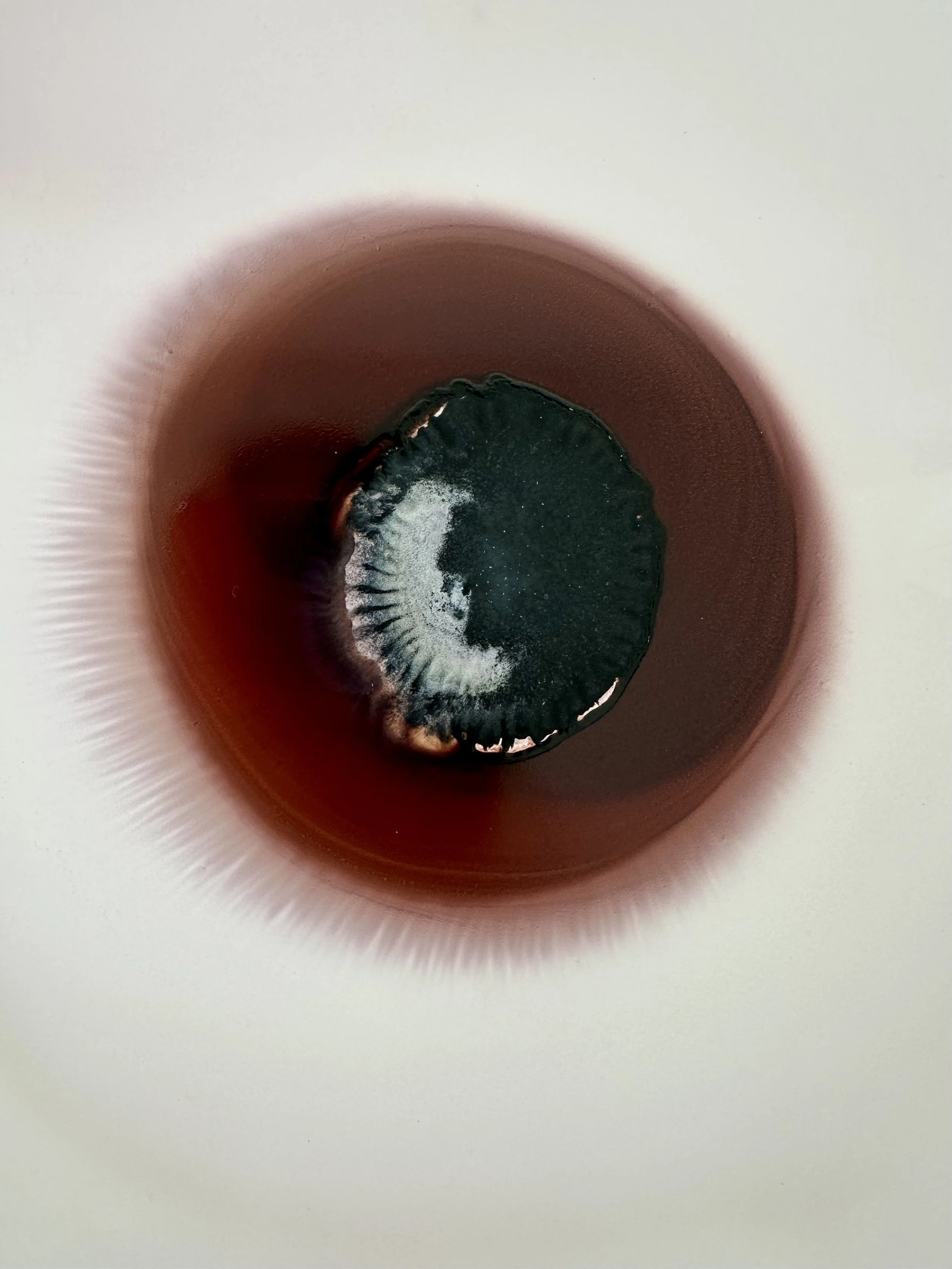 Sillent orbits Yupo5.jpg