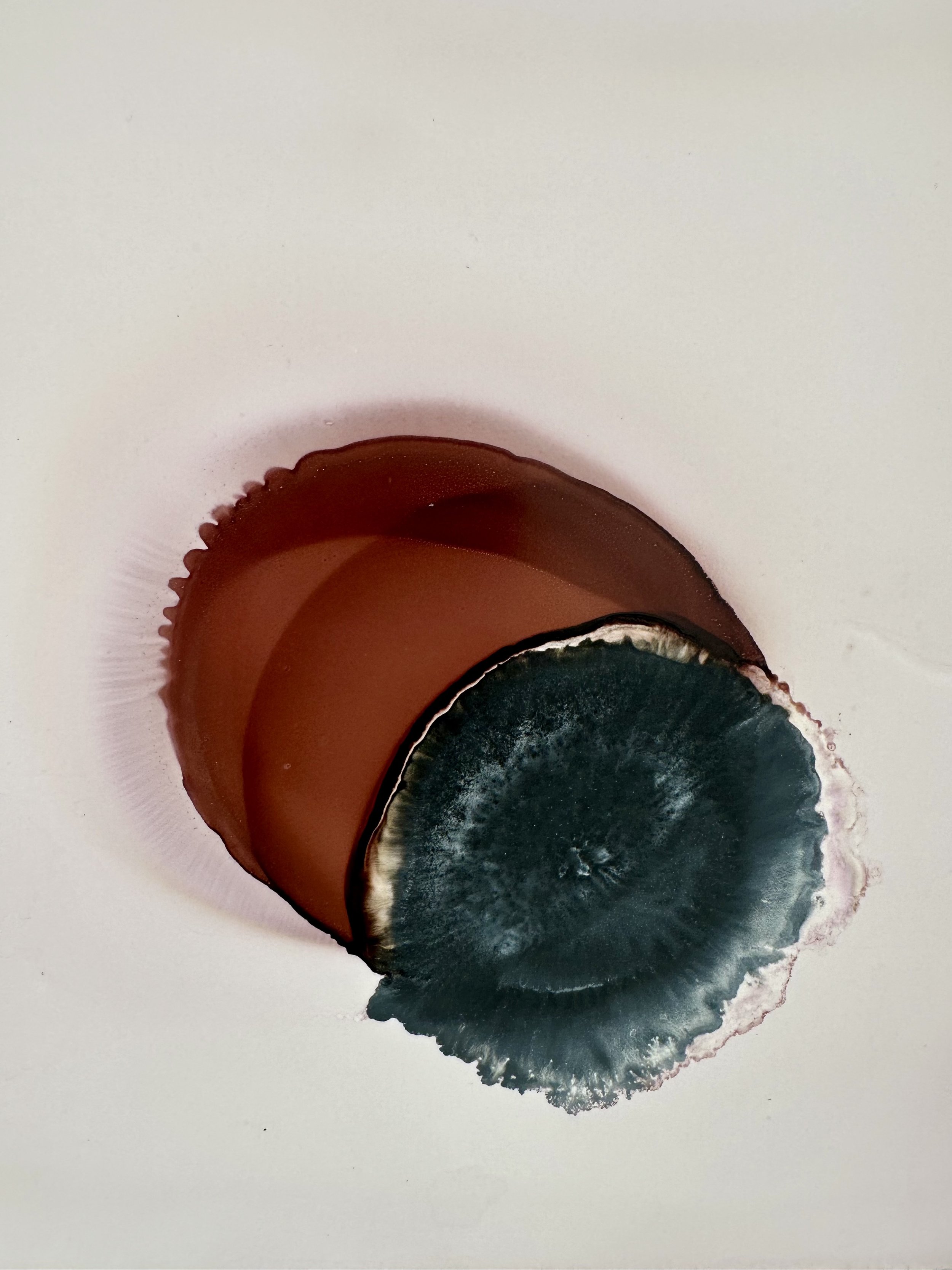 Sillent orbits Yupo4.jpg