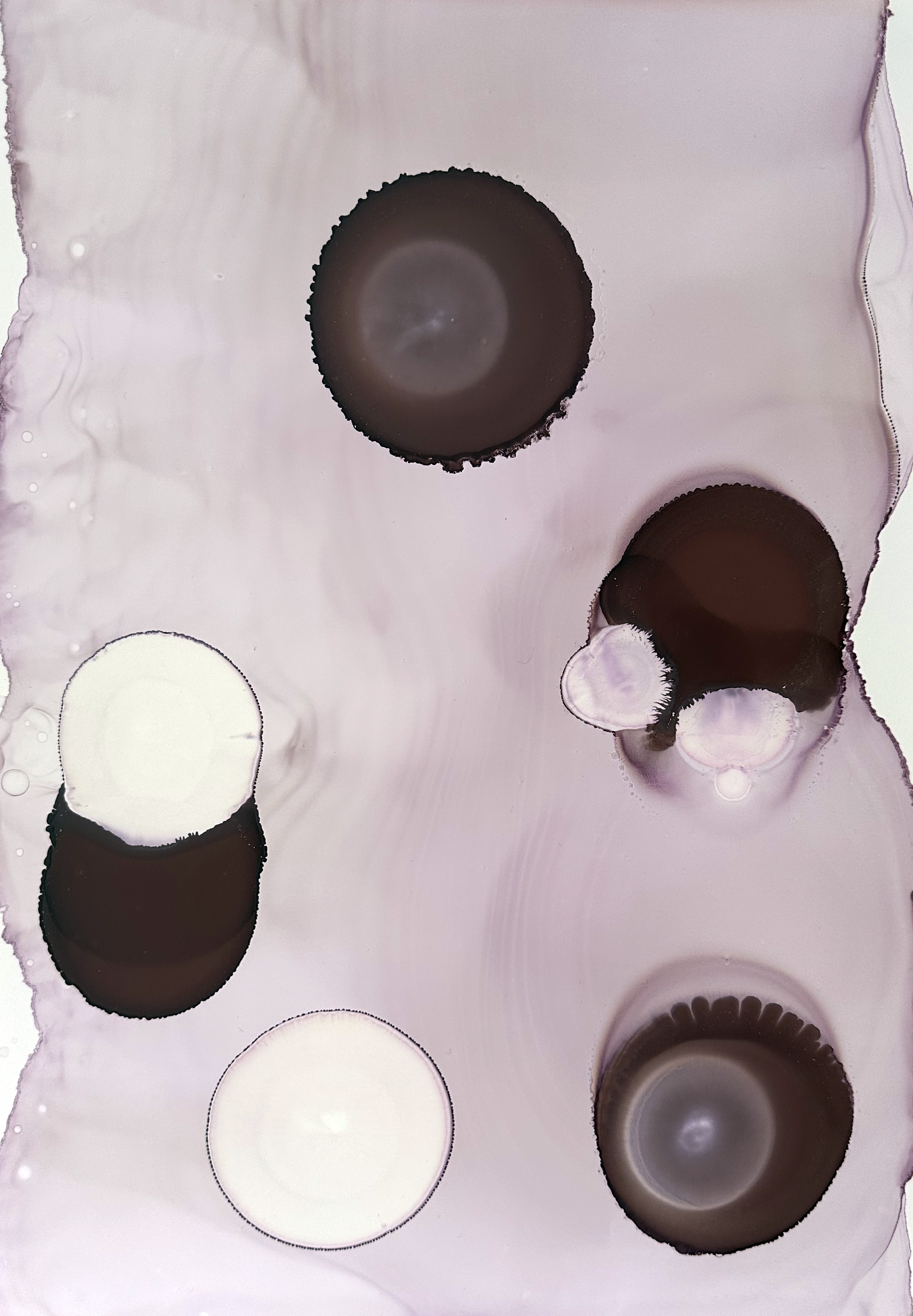 soft collision2.png