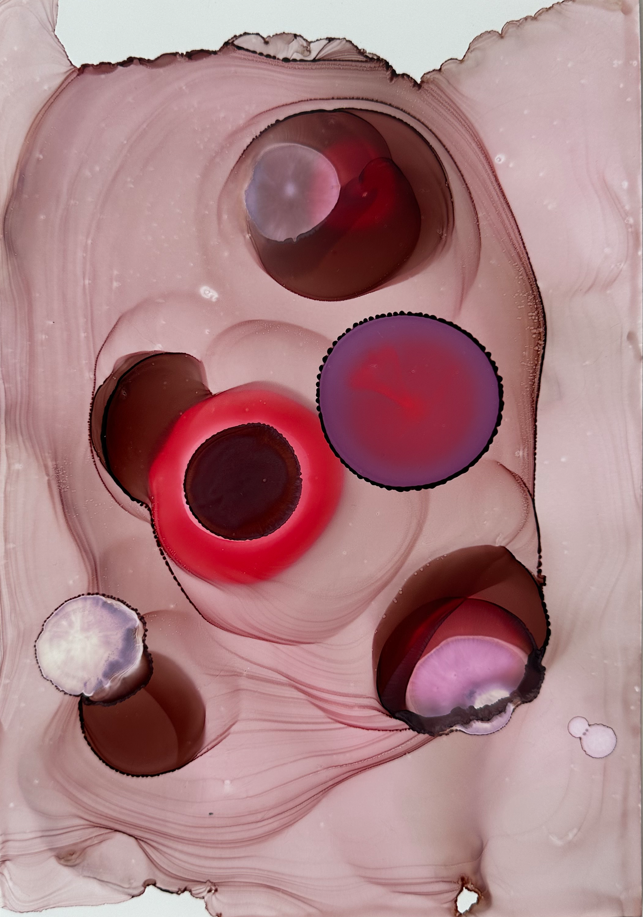 Soft Tension2.png