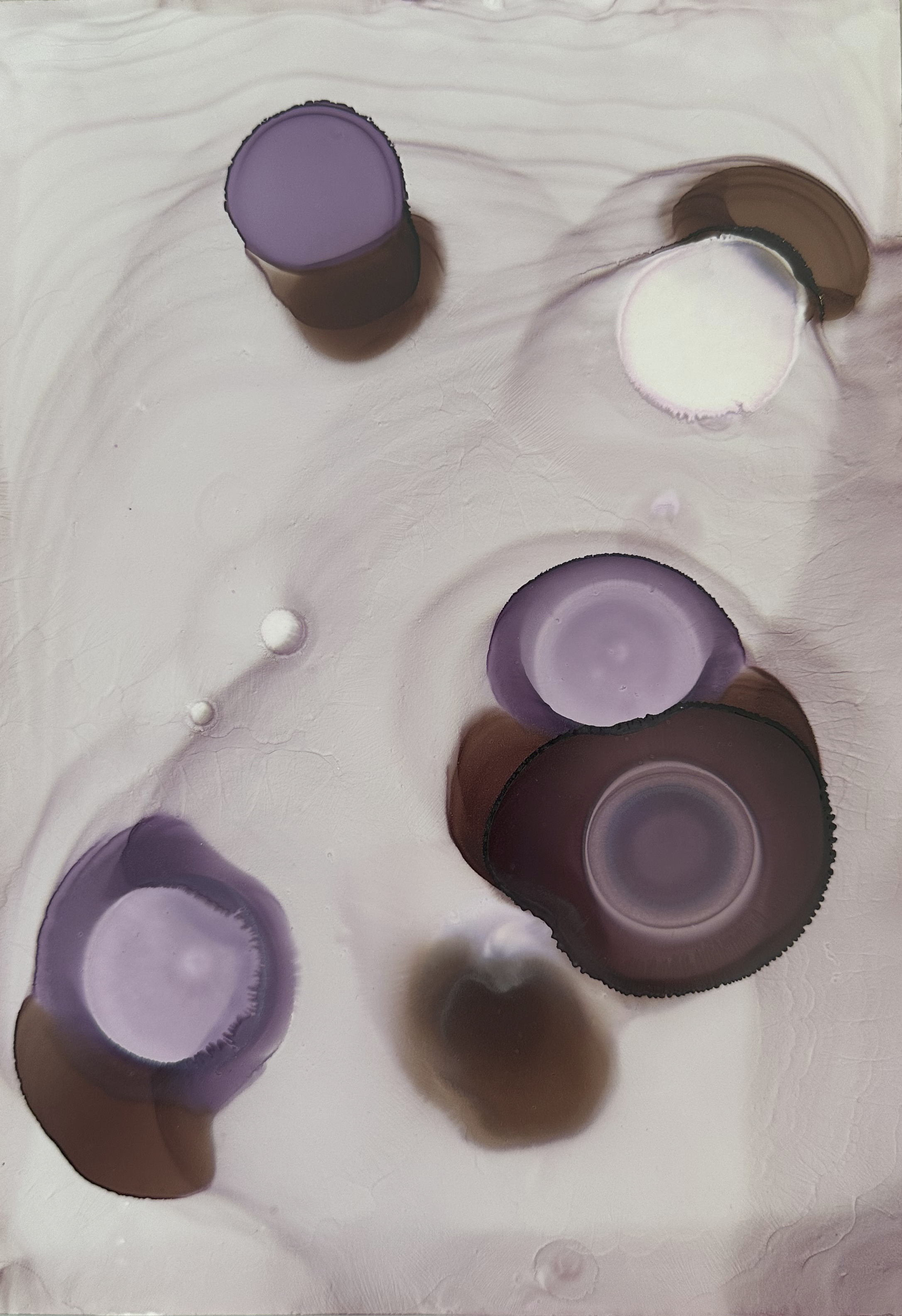 Muted Orbits2.png