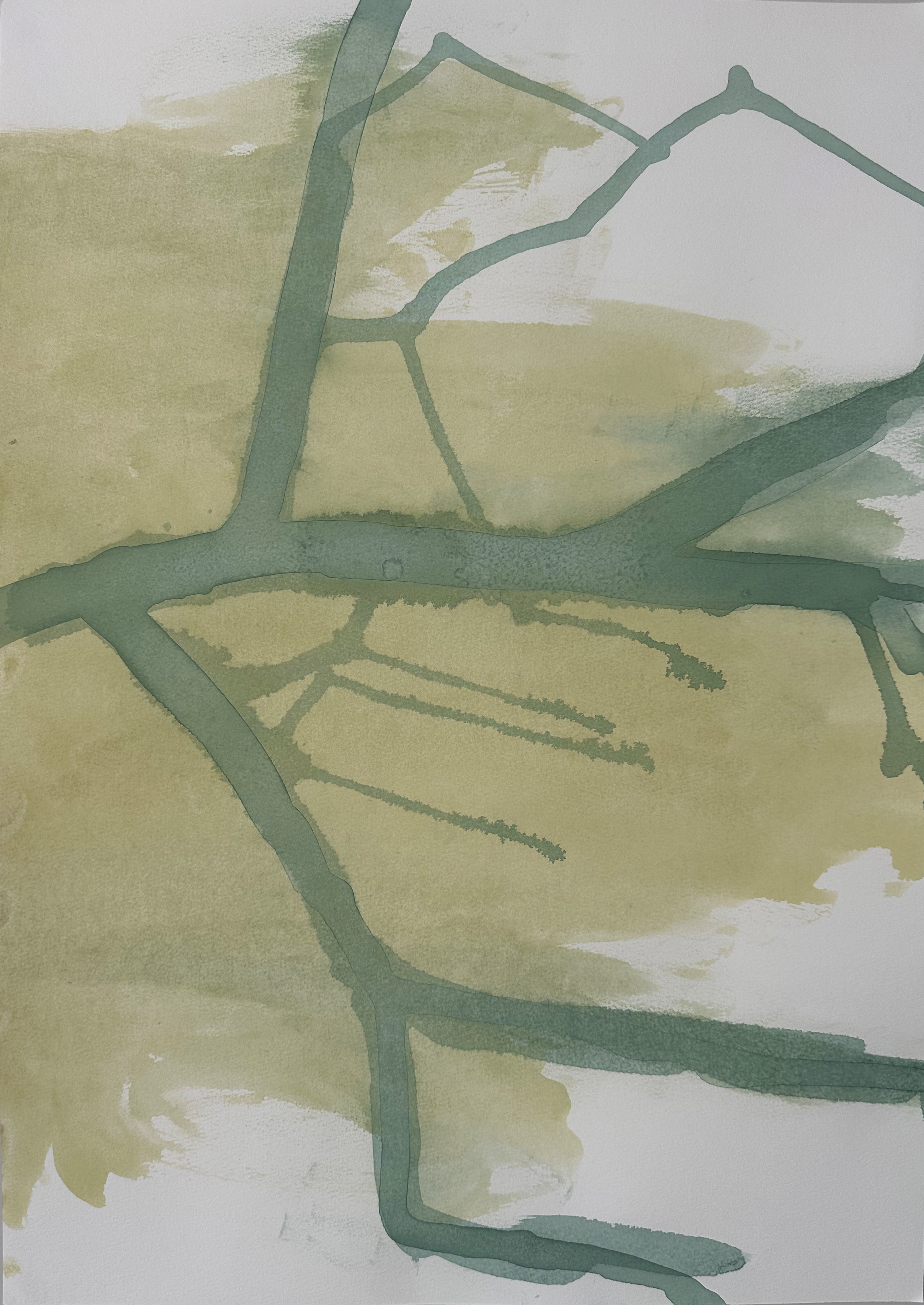 Whispered Paths1.png