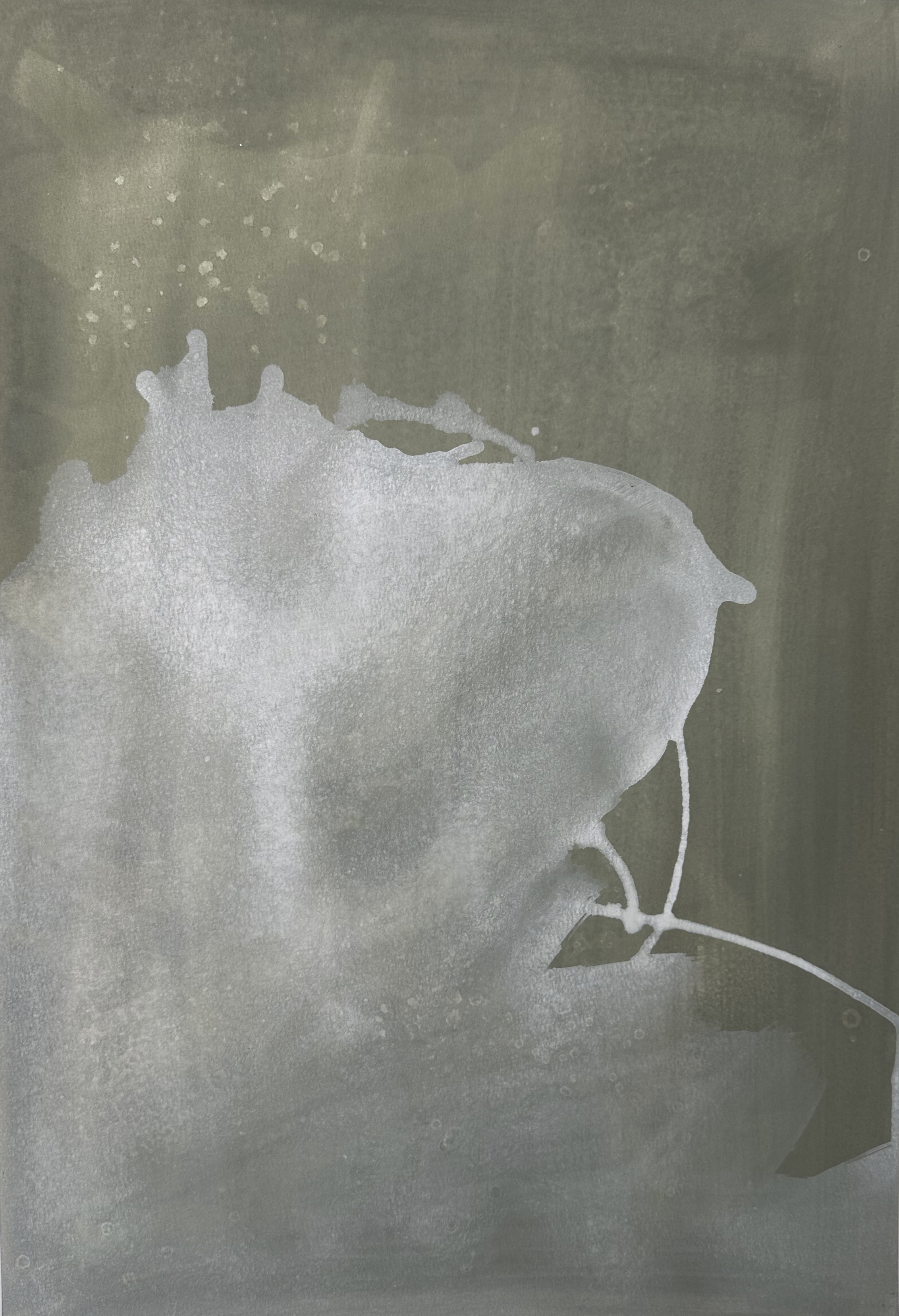 Silent Growth Acrylic1.png