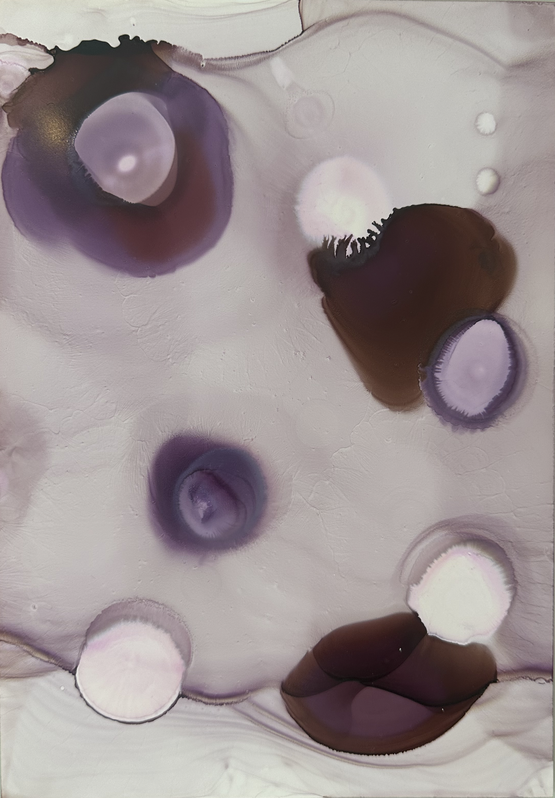 Muted Orbits1.png
