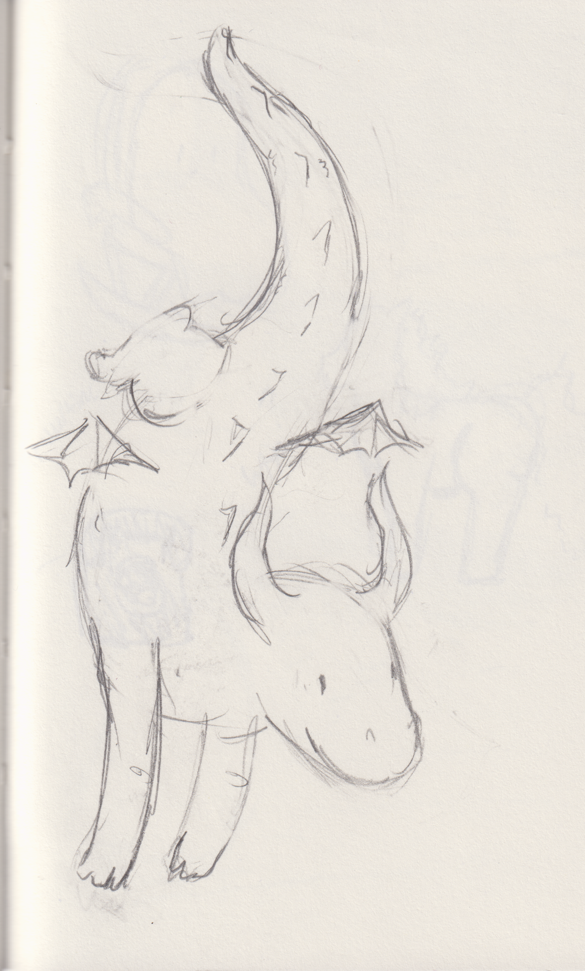 Scan_20251130 (7).png