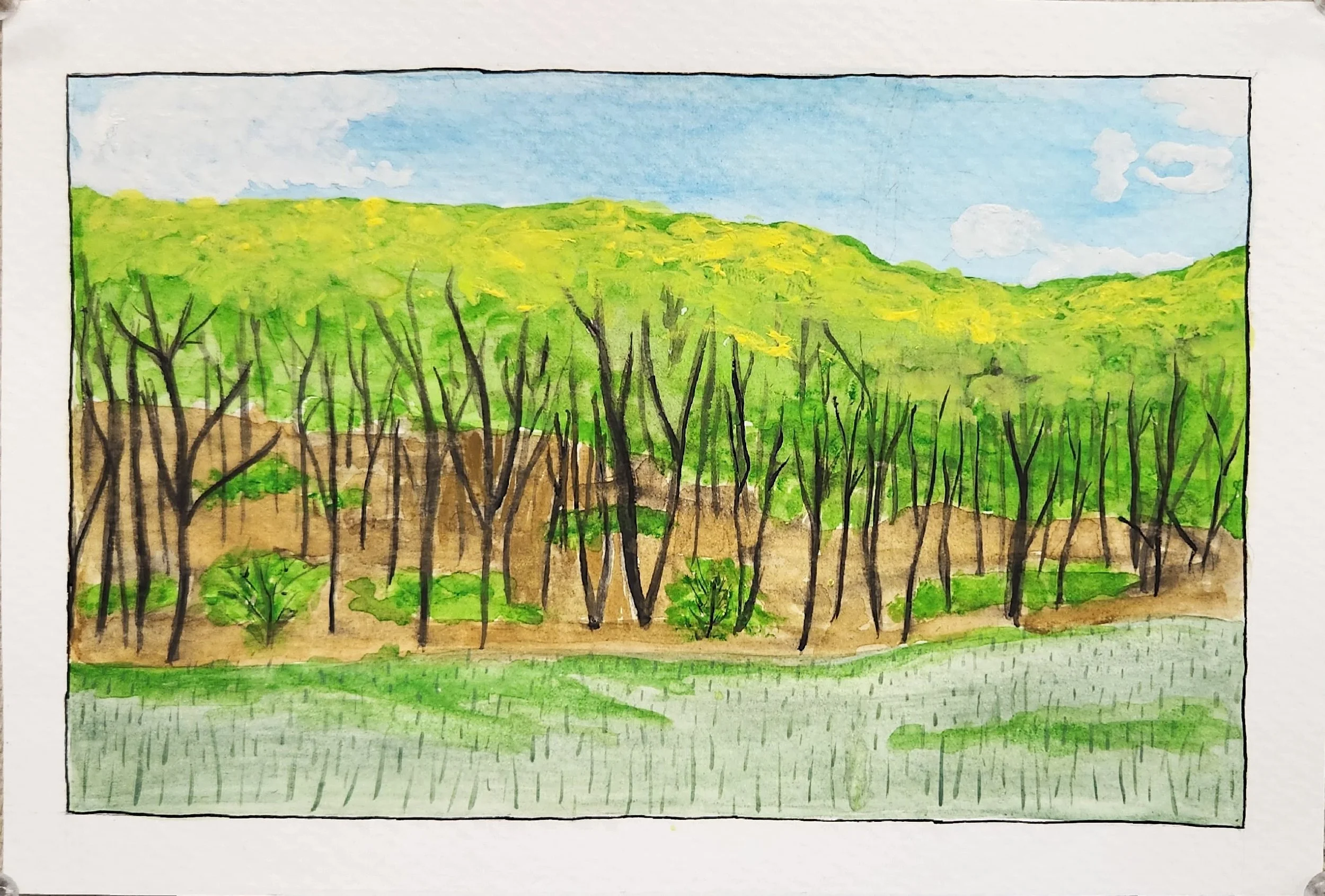 Before and After (After)