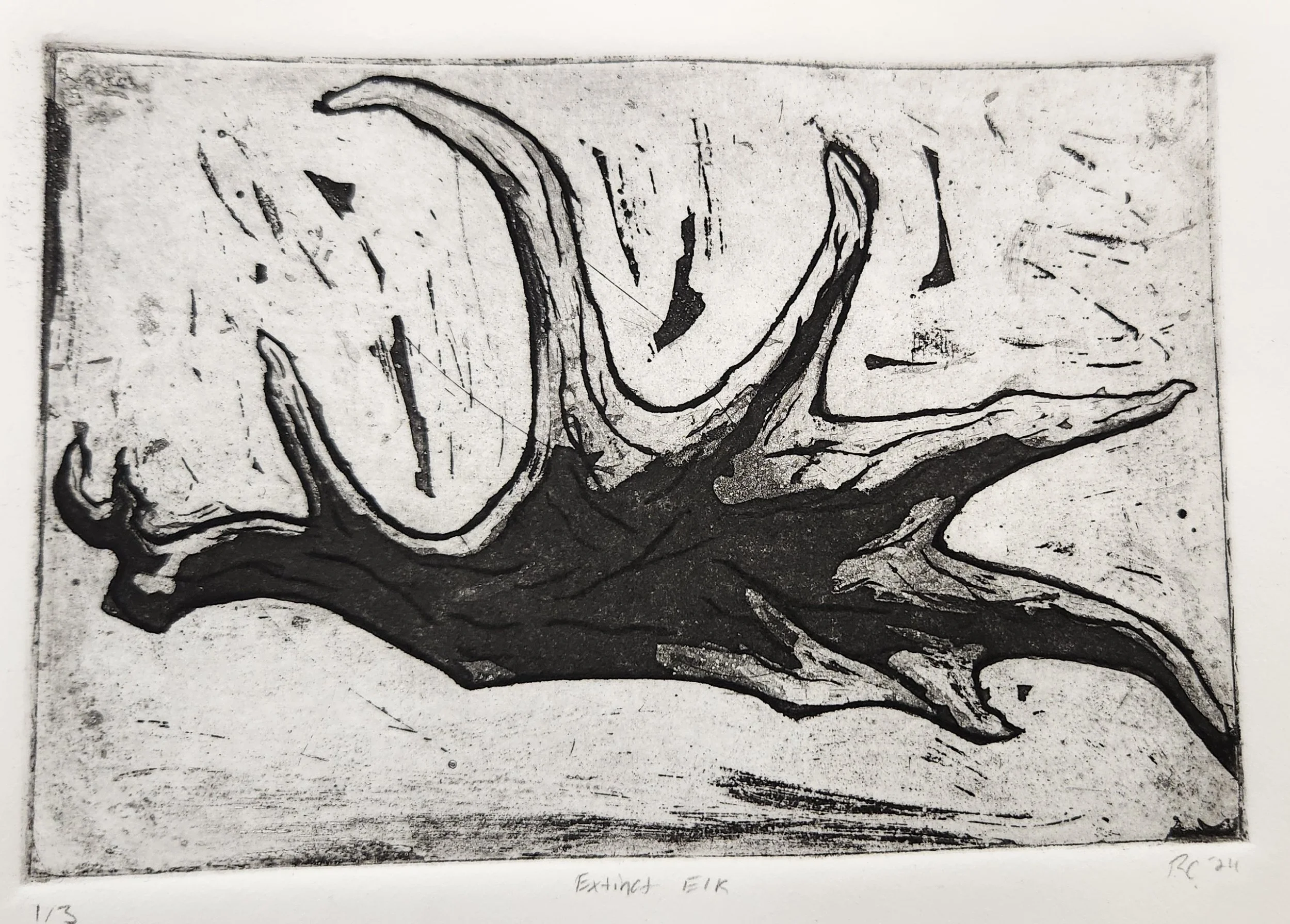 Extinct Elk Zinc Etching 2.jpg