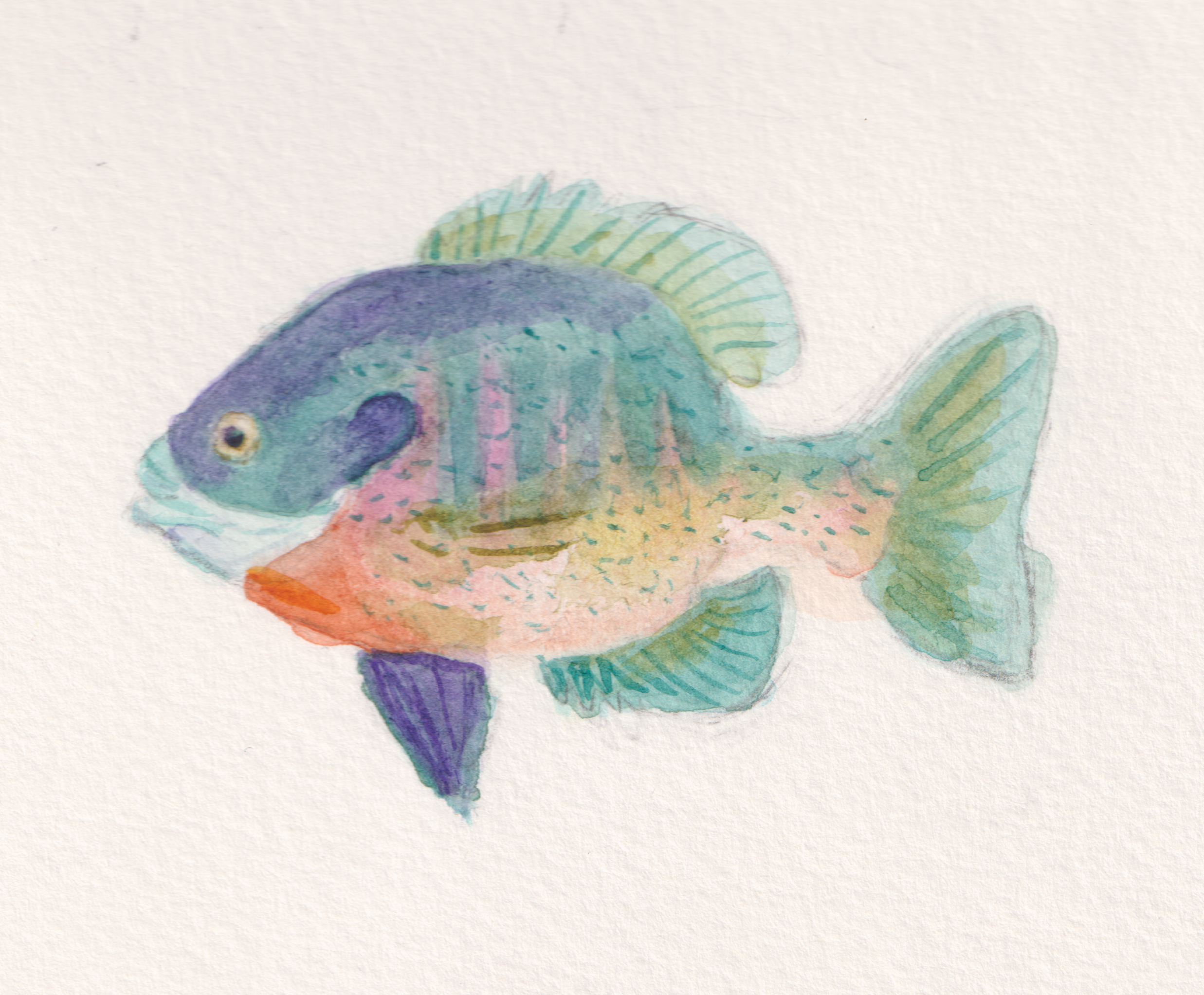 Scan_20251130 (9).png