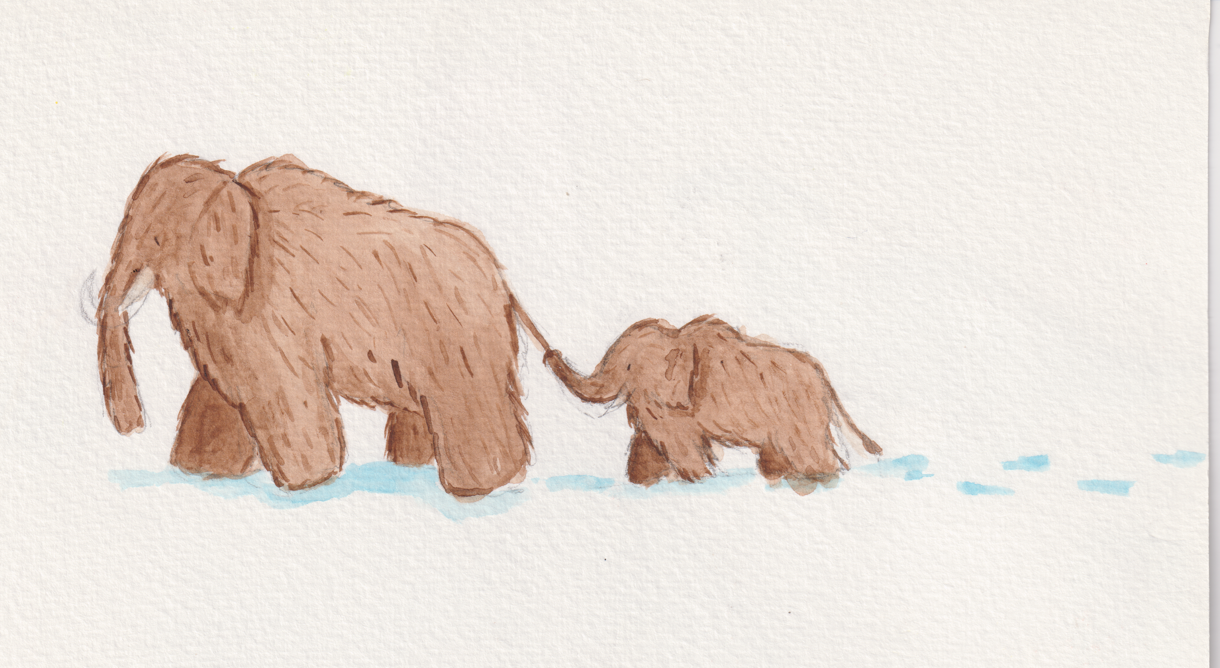 Scan_20251130 (34).png