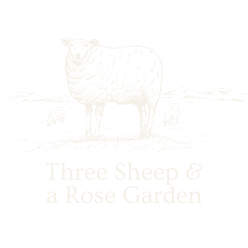 A black and white illustration of a sheep with two smaller sheep in the background, mountains and grass, and the text "Three Sheep & a Rose Garden."