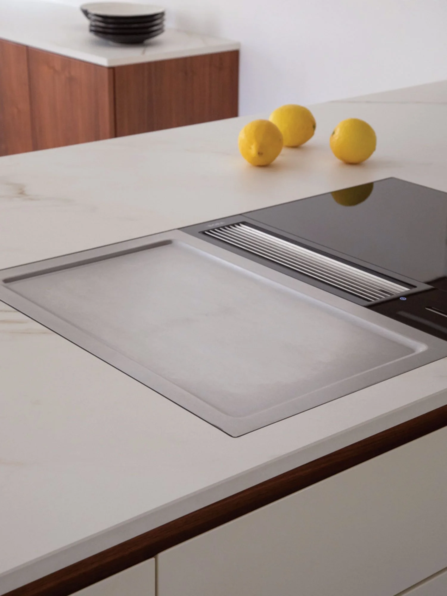 Profesionalna kuhalna plošča za domačo uporabo.