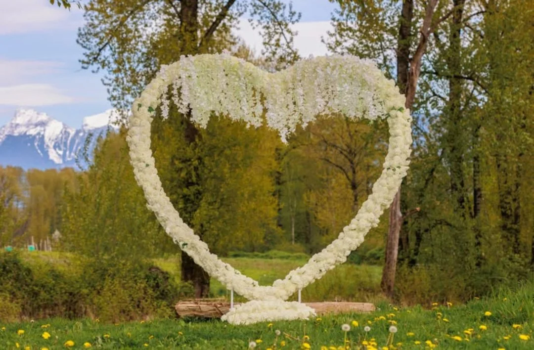 Rose Arch Rentals - Maternity Dress Rental - Other Photography Prop Rentals