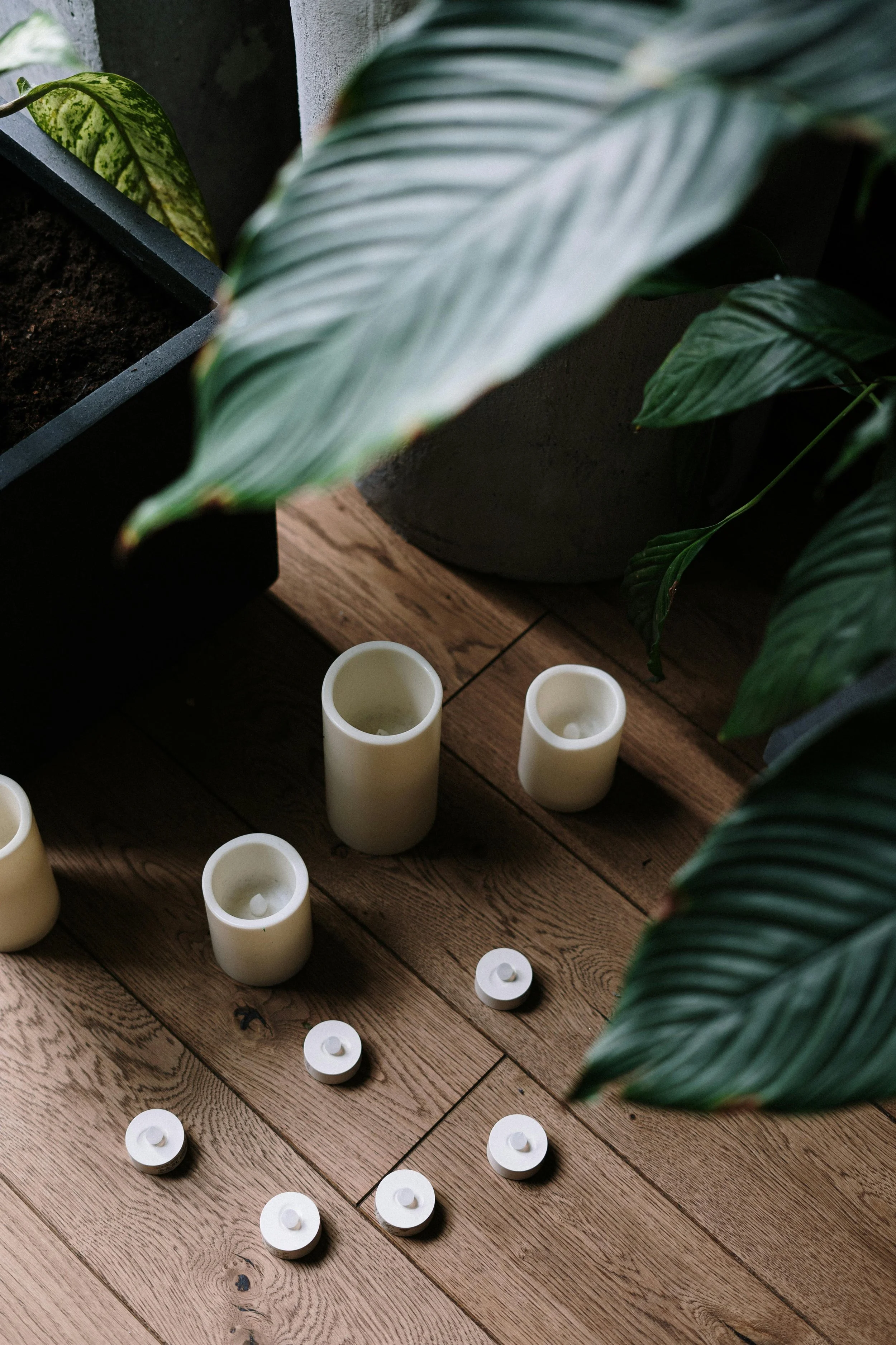 Unassembled white candle holders and small lids on a wooden floor surrounded by green houseplants.