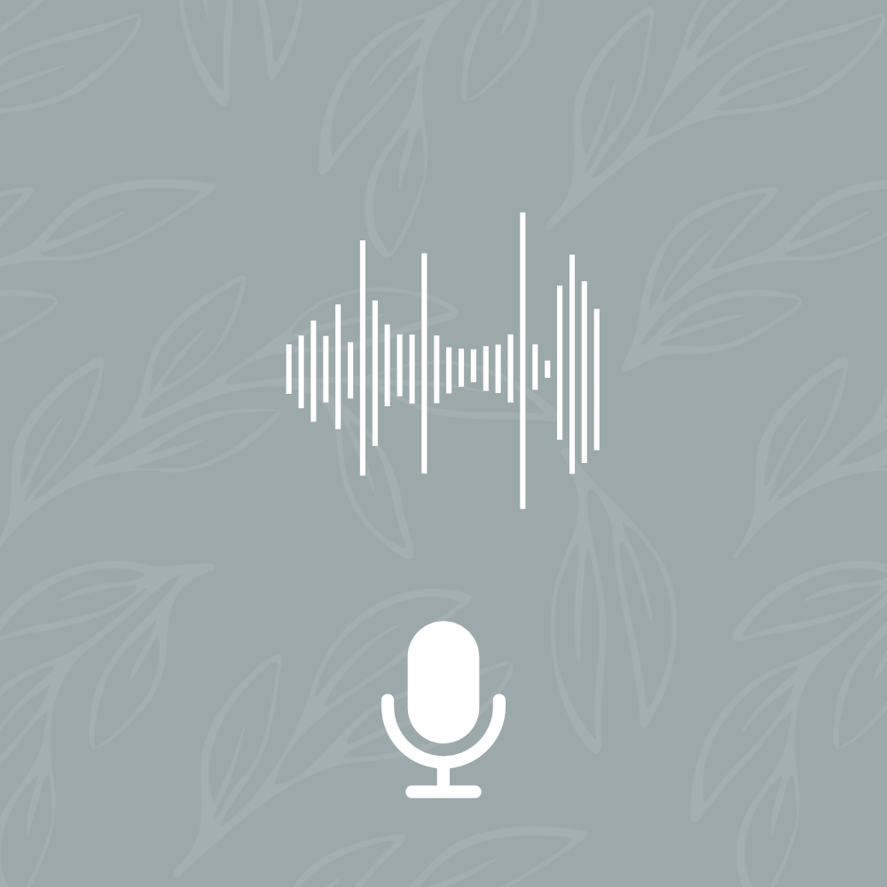Animal Voice Note - Two Questions