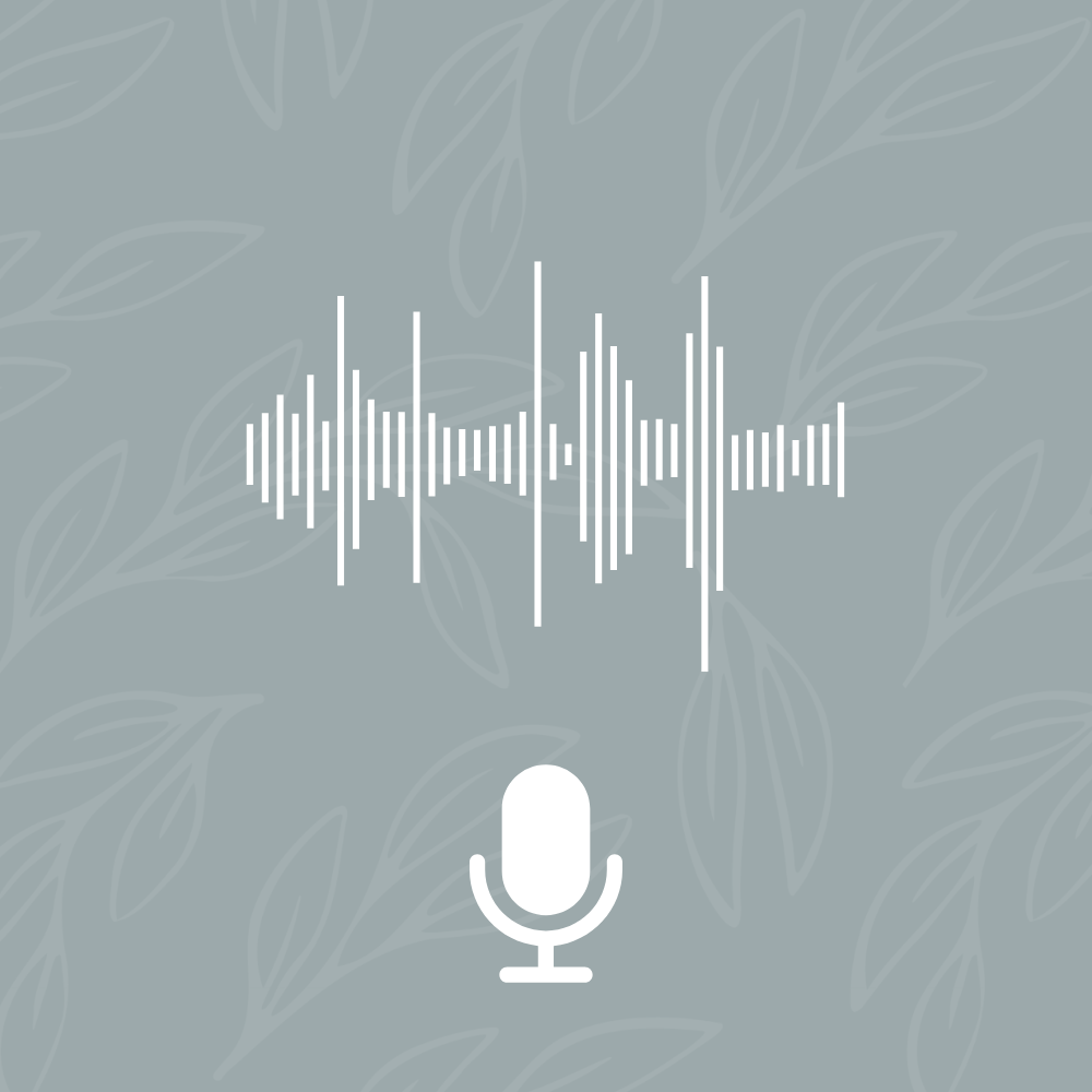 Animal Voice Note - Four Questions