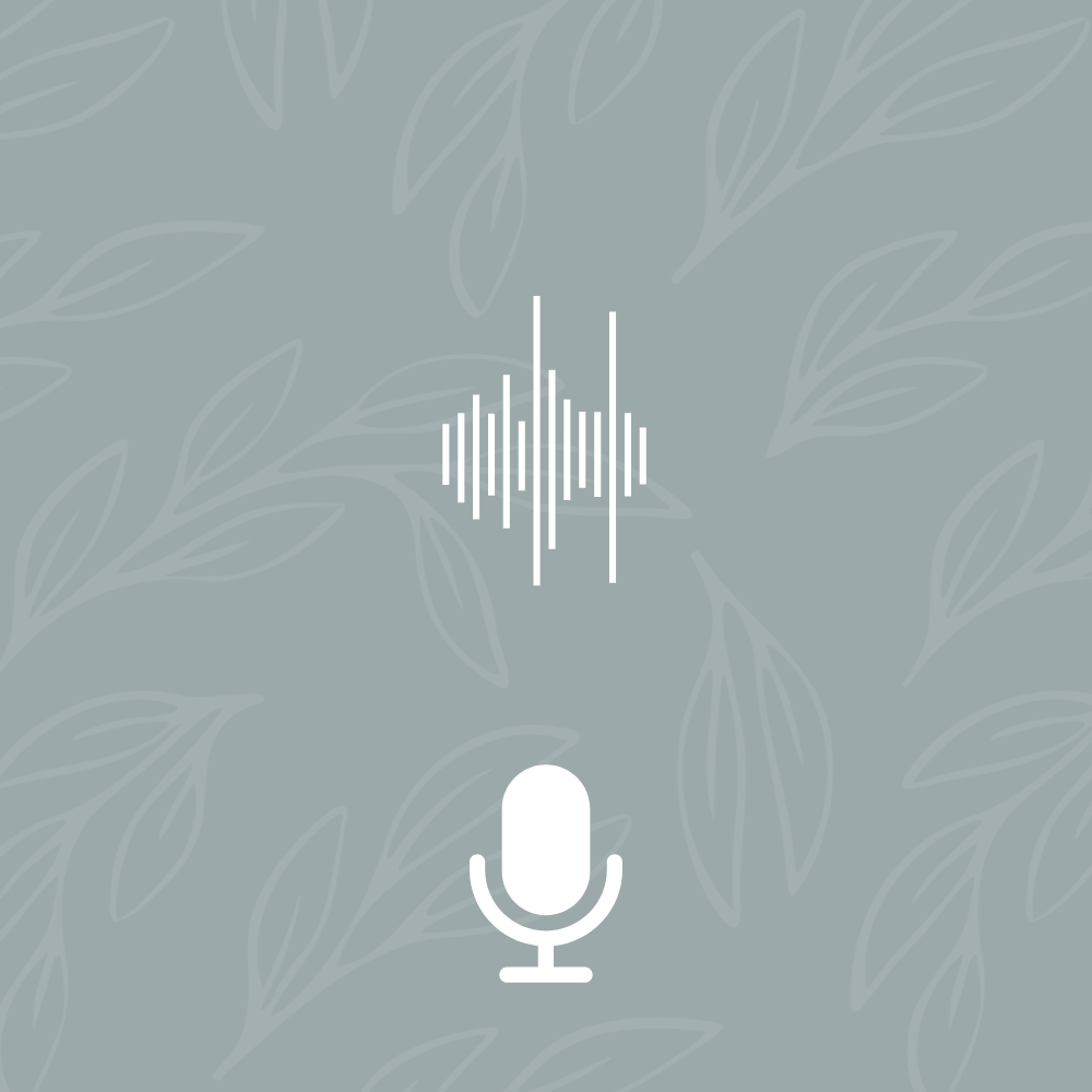 Animal Voice Note - One Question