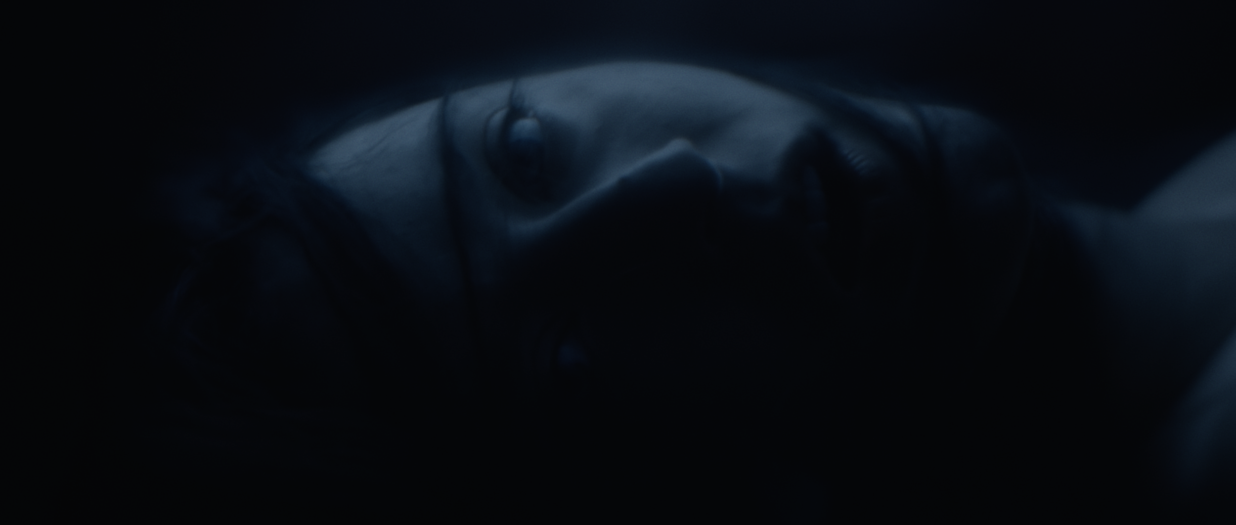 "The Abyss" directed by C.A. Cooper (Chris Cooper) and Virag Pazmany. Featuring Rita Sigmond.