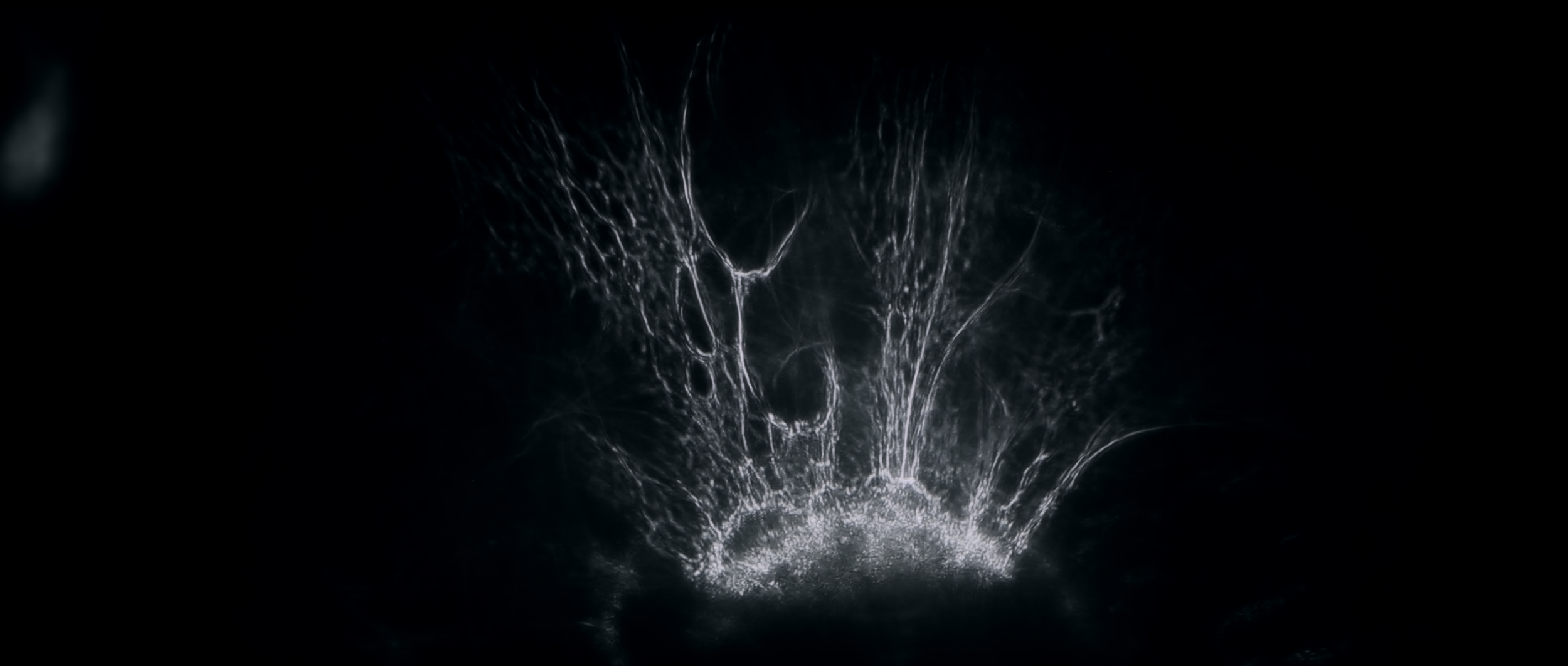 "The Abyss" directed by C.A. Cooper (Chris Cooper) and Virag Pazmany.