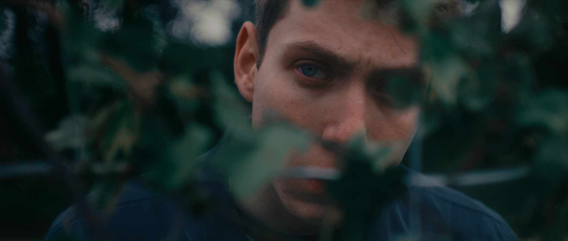 "The Magician's Garden" directed by C.A. Cooper (Chris Cooper). Alex Figueiredo.