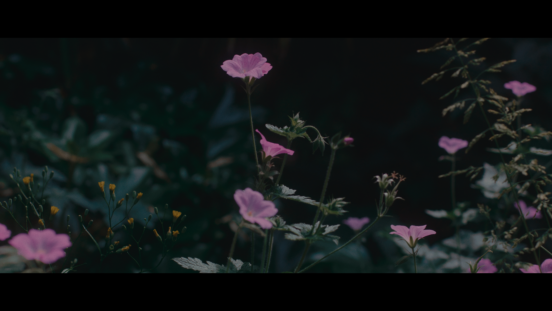 tmg_24_5.1.32_v2.png