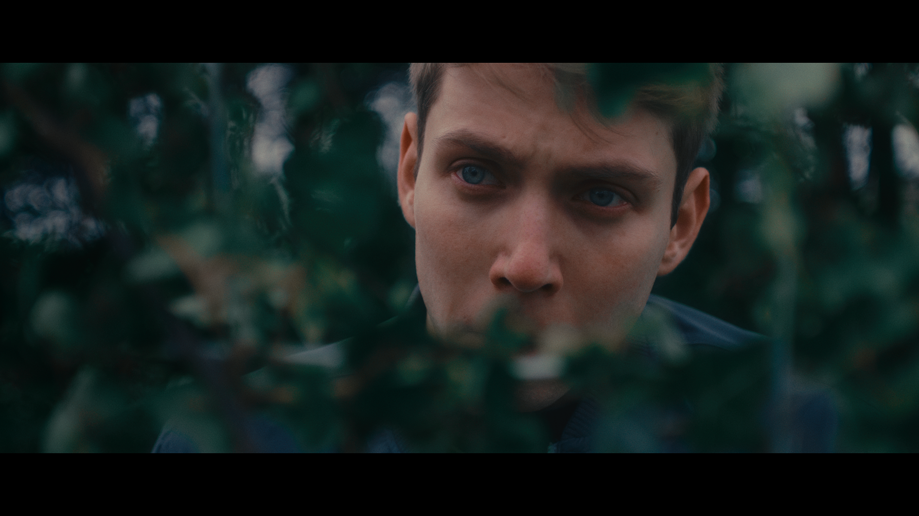 tmg_47_5.1.29_v2.png