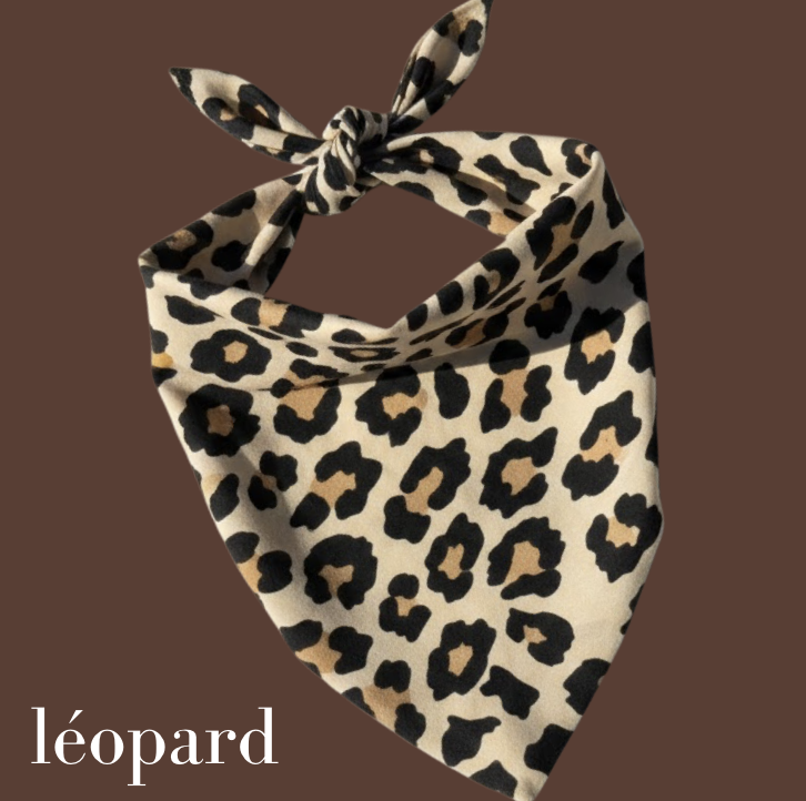 Capture d’écran 2026-02-25 à 13.33.44.png