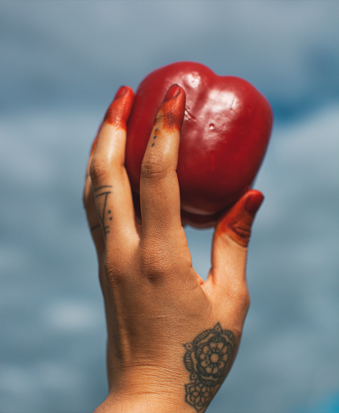 Screenshot 2025-10-16 at 10.19.26 AM.png