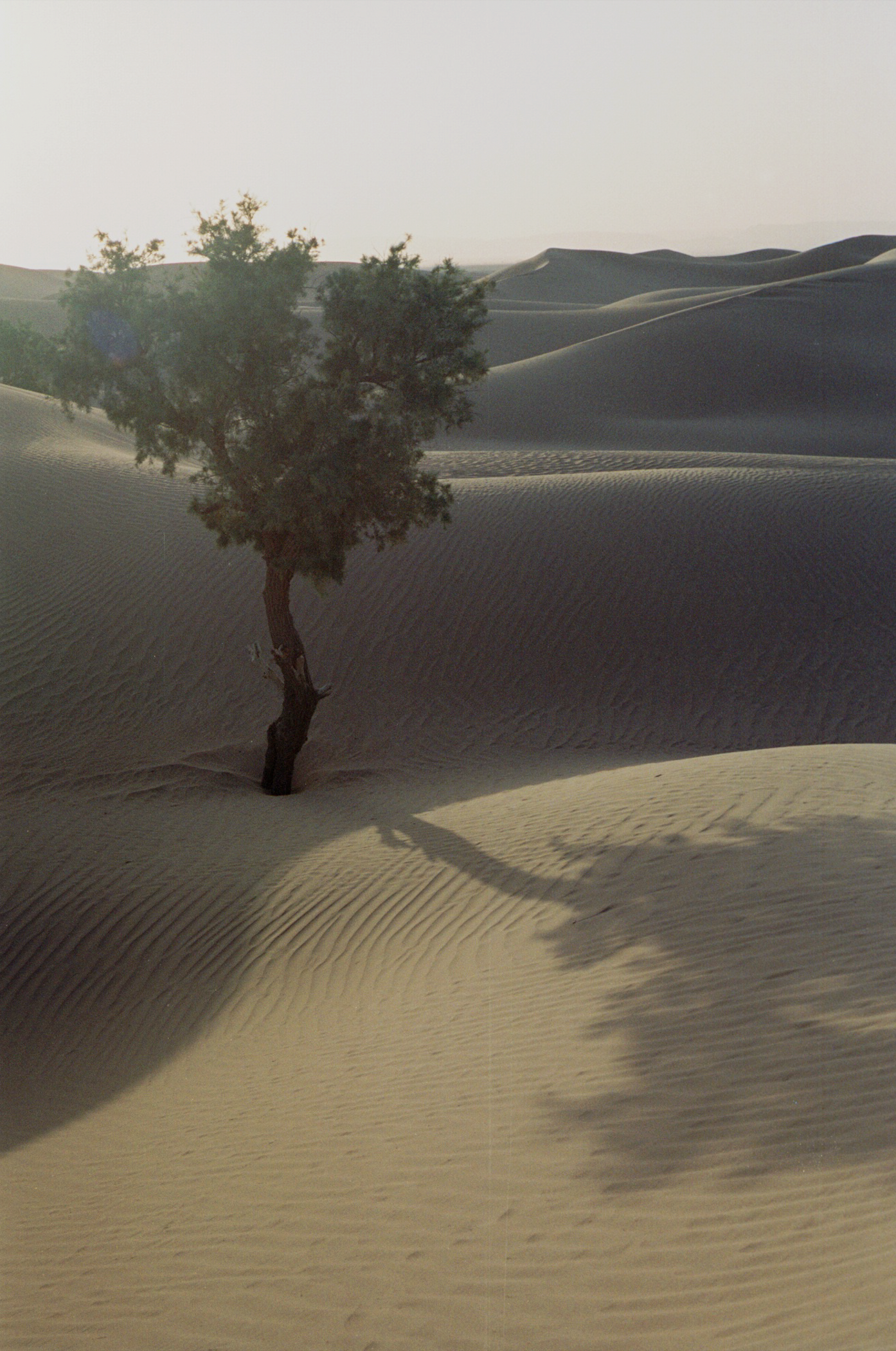 Screen Shot 2025-10-18 at 7.13.14 PM.png