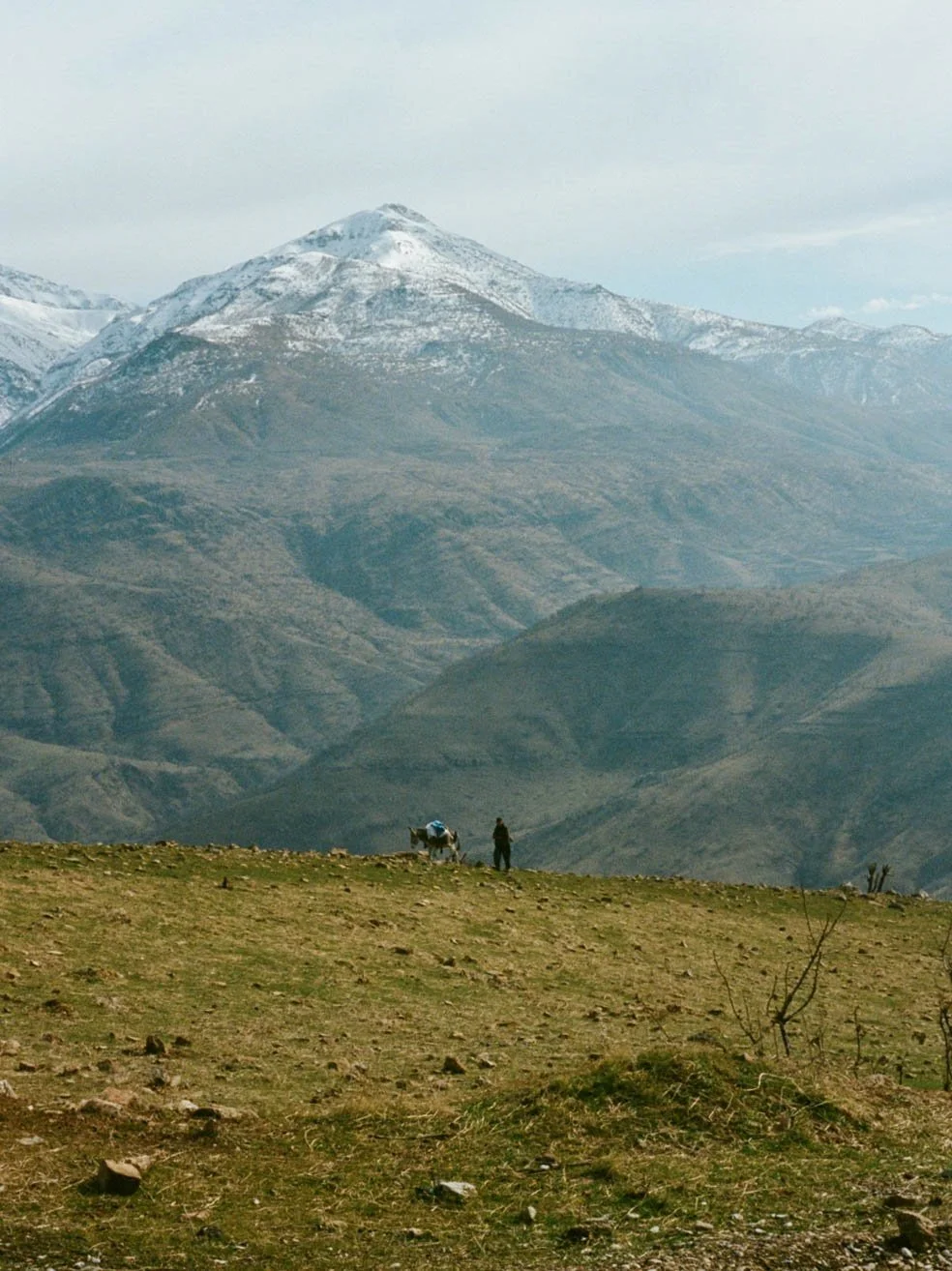 90960013-1 (dragged).jpg