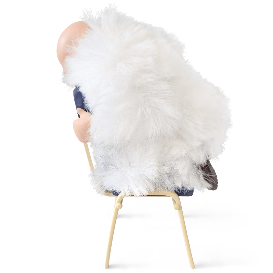 THE FOLK - 012 - side